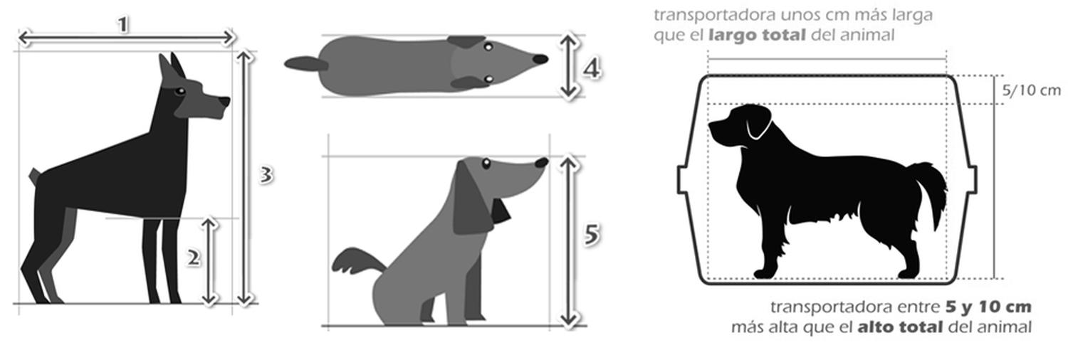 Transportadora Vari Kennel Grande Mide:91x63x68 Para Perros de Petmate | G.Valkyria - imagen 13