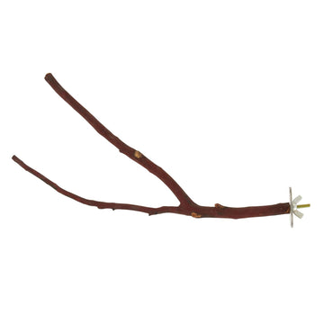 Percha De Manzanita Multi-Ramas Para Aves Pequeñas Y Medianas de PetStarz | G.Valkyria