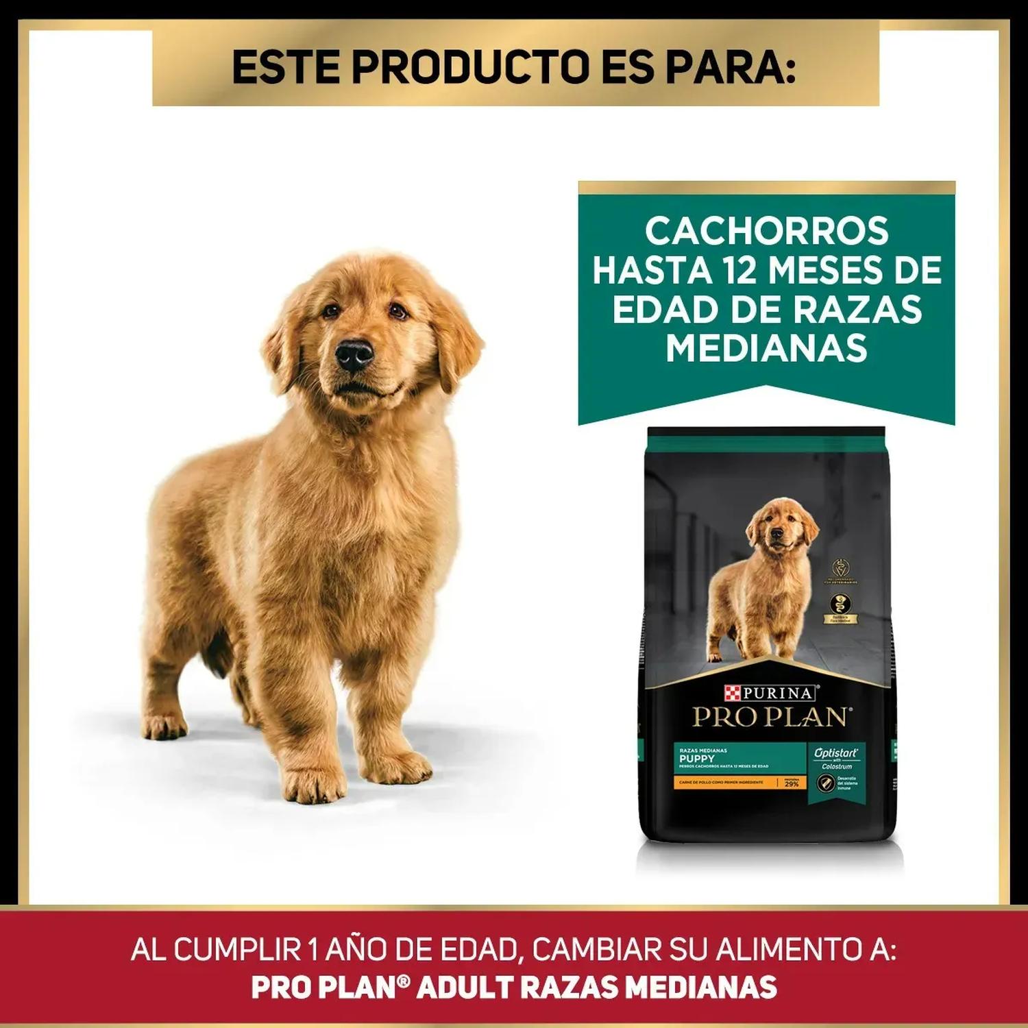 Purina ProPlan Kit Inicio Cachorro raza mediana y grande 3kg | G.Valkyria - imagen 3