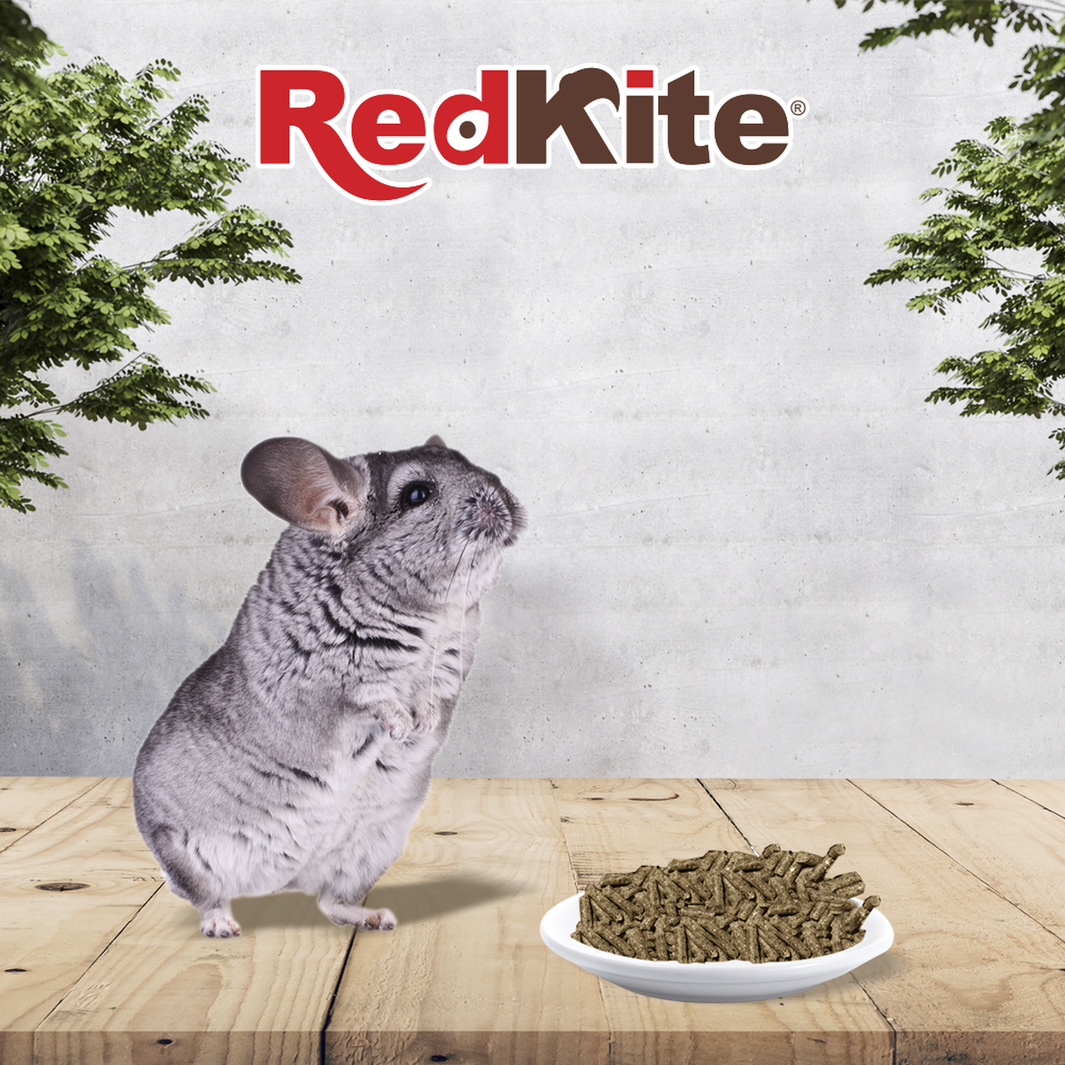 Redkite Alimento balanceado Para Chinchilla 1 Kg de Red Kite | G.Valkyria - imagen 2