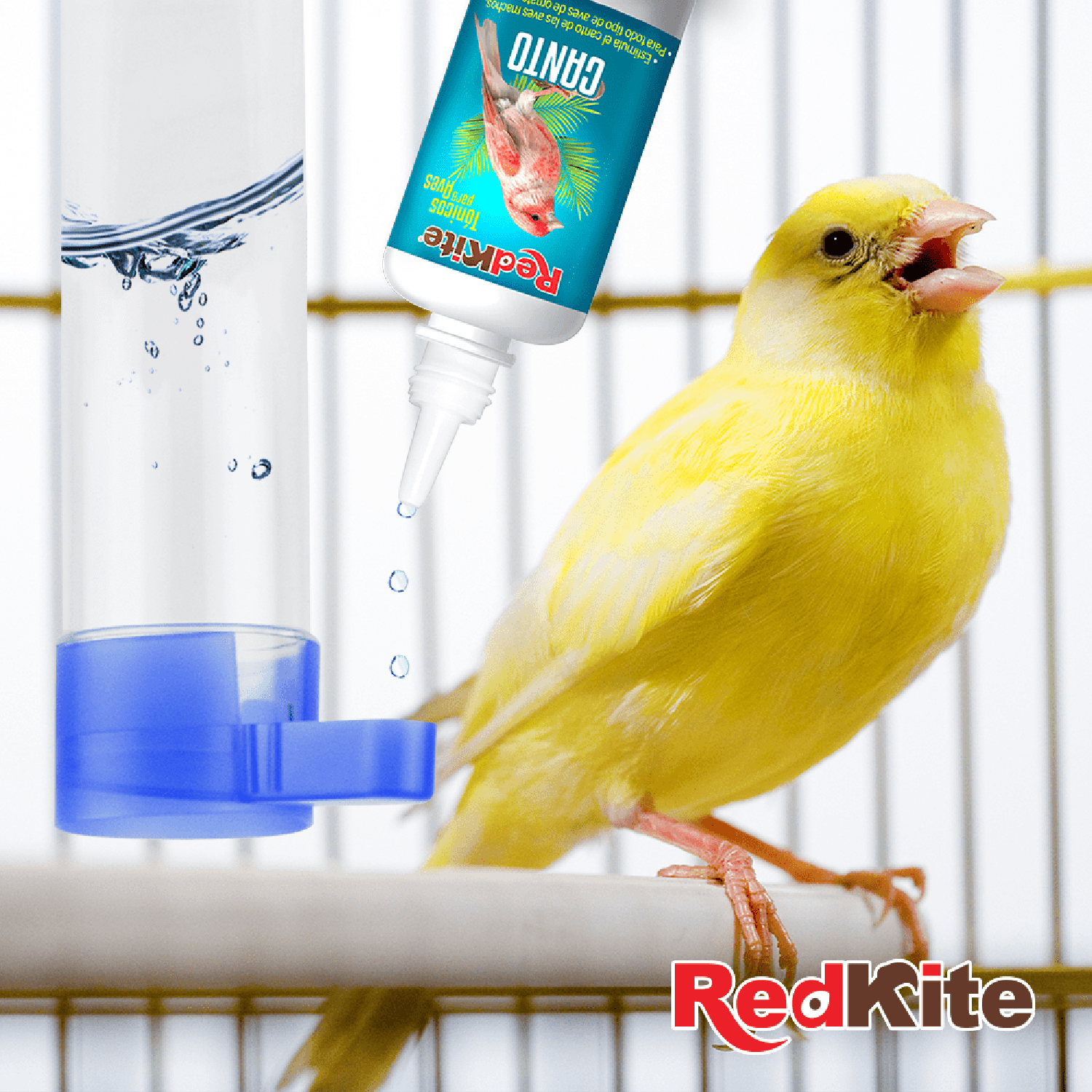 RedKite fortalecedor de canto para aves macho 30 ml de Red Kite | G.Valkyria - imagen 3