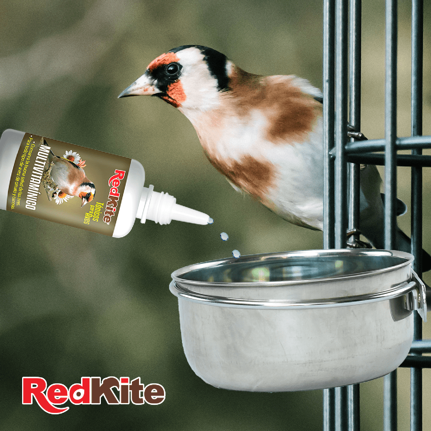 RedKite fortalecedor para aves canora y ornato 30 ml de Red Kite | G.Valkyria - imagen 3