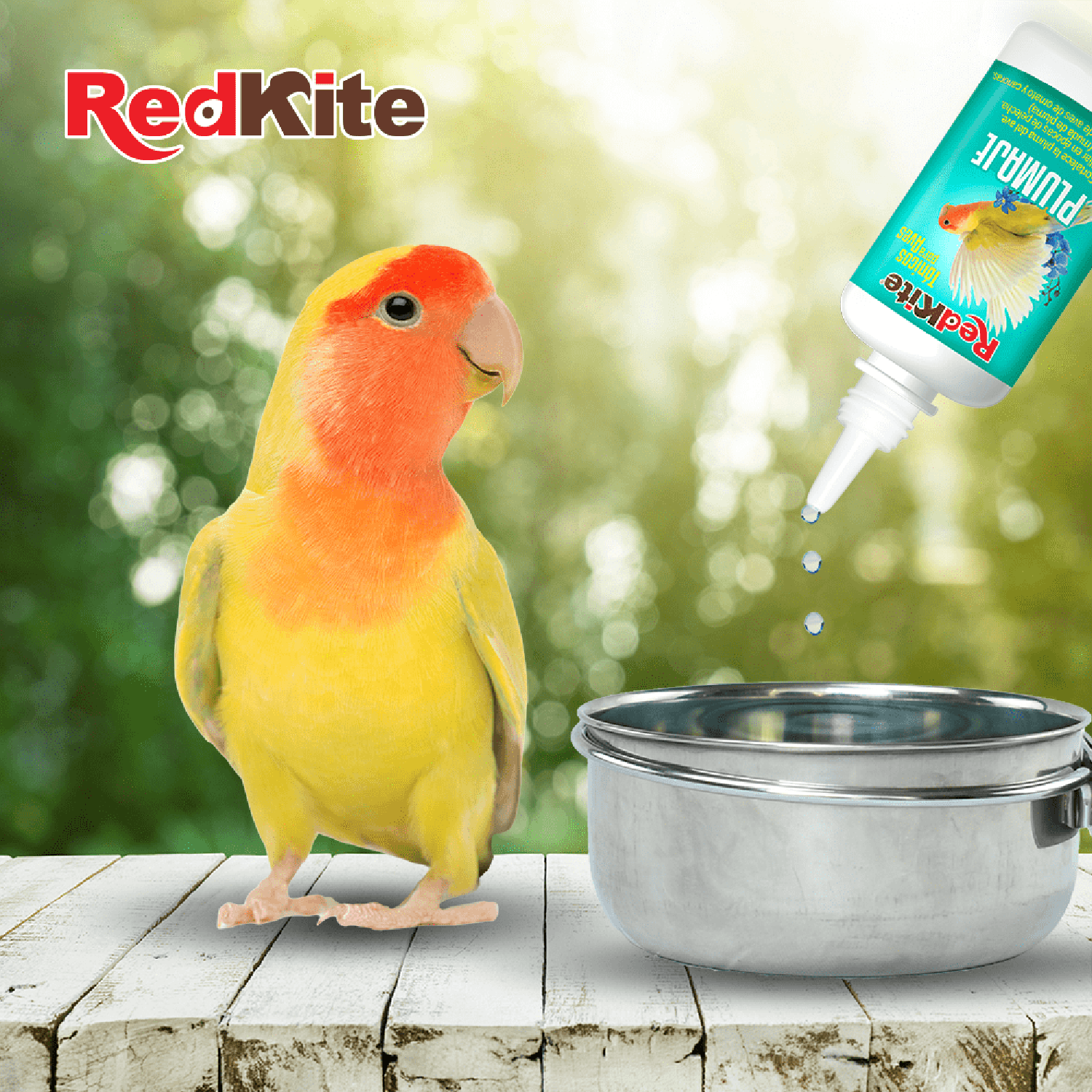 Redkite fortalecedor pelecha Plumaje para aves 30 ml de Red Kite | G.Valkyria - imagen 3