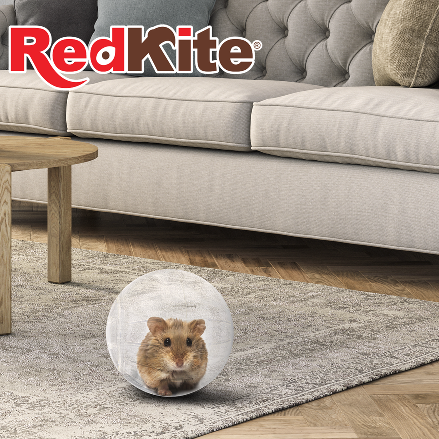 Rueda o esfera ejercitadora para hamsters tamaño chico 12x12x12 de Red Kite | G.Valkyria - imagen 4