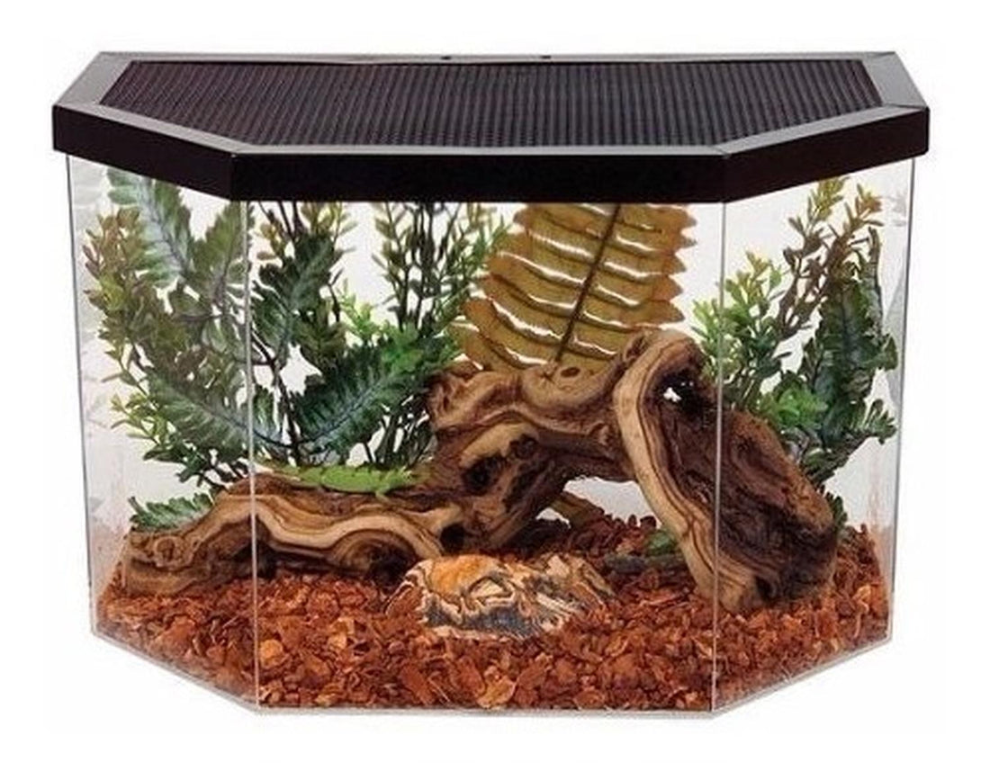 Acrílico Habitat Para Reptil, Anfibio O Insectos De 5 Gal de Repitat | G.Valkyria - imagen 1