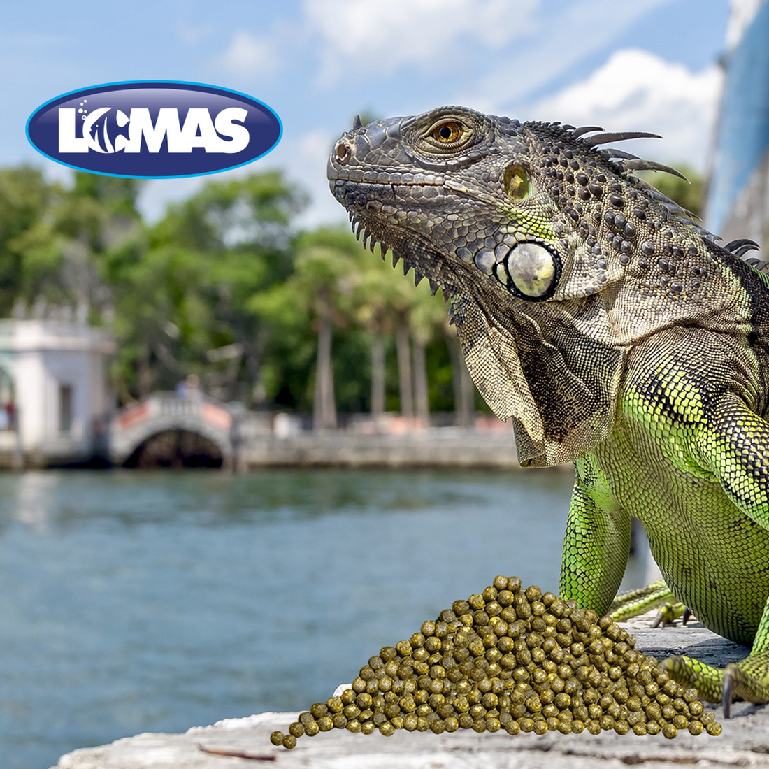Alimento balanceado Lomas Para Iguana Juvenil 350 grs de Reptilia | G.Valkyria - imagen 1
