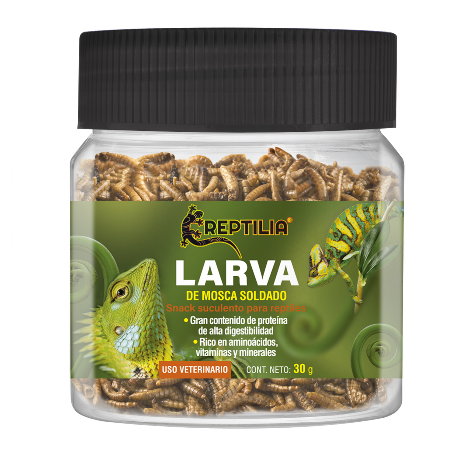 Reptilia larva mosca soldado tortuga iguana gecko anolis 30g | G.Valkyria - imagen 1