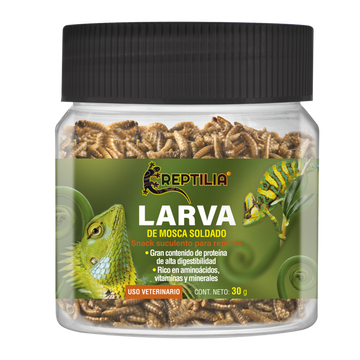Reptilia larva mosca soldado tortuga iguana gecko anolis 30g | G.Valkyria - imagen 1
