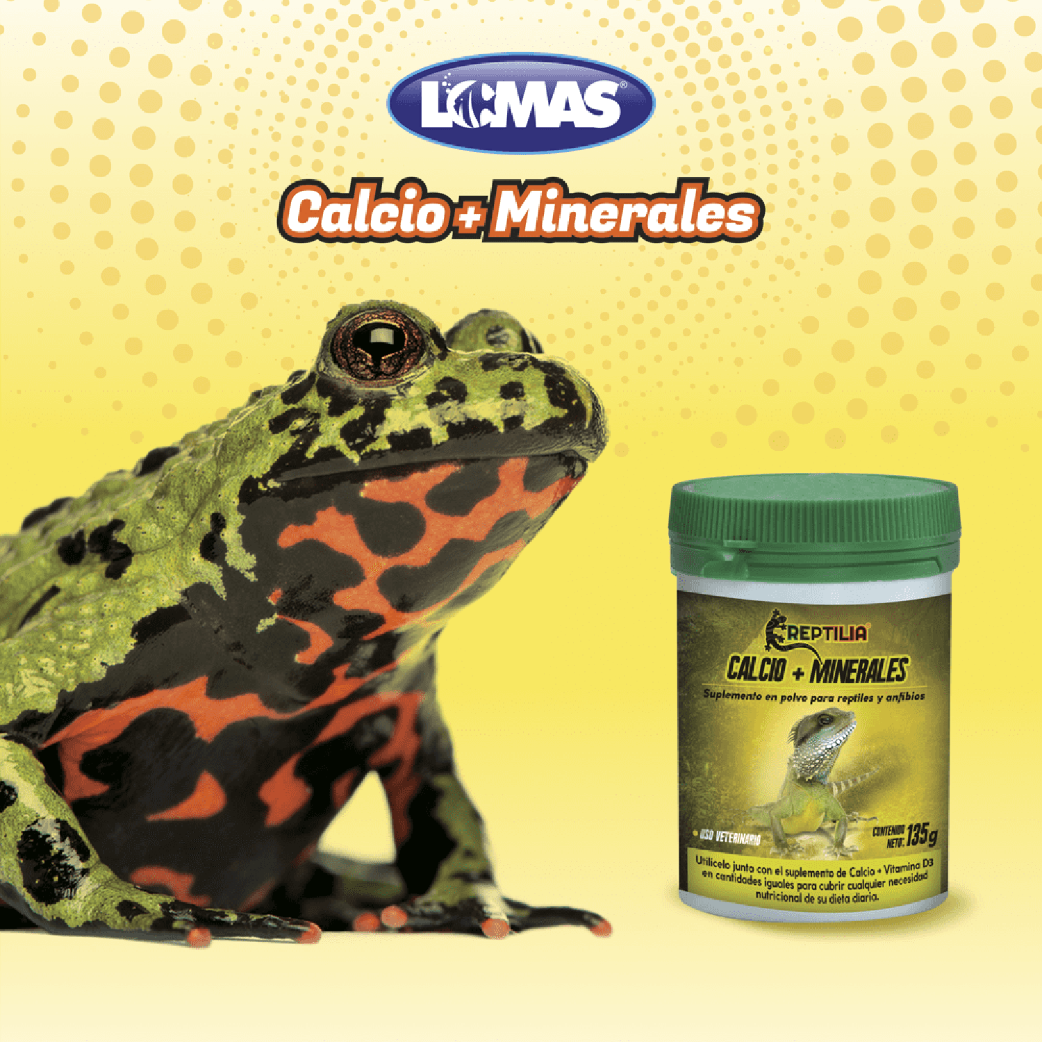 Suplemento calcio y minerales para iguanas, geckos, ranas de Reptilia | G.Valkyria - imagen 4