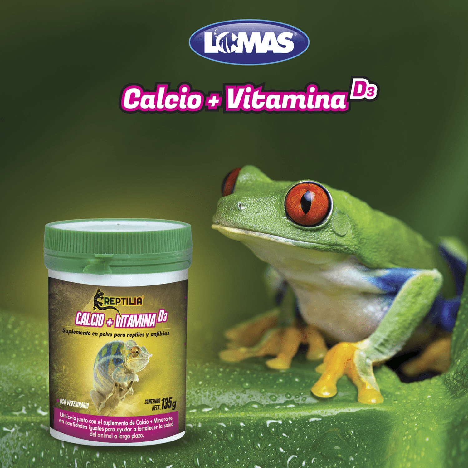 Suplemento calcio y vitamina D3 para iguanas, geckos, ranas de Reptilia | G.Valkyria - imagen 4