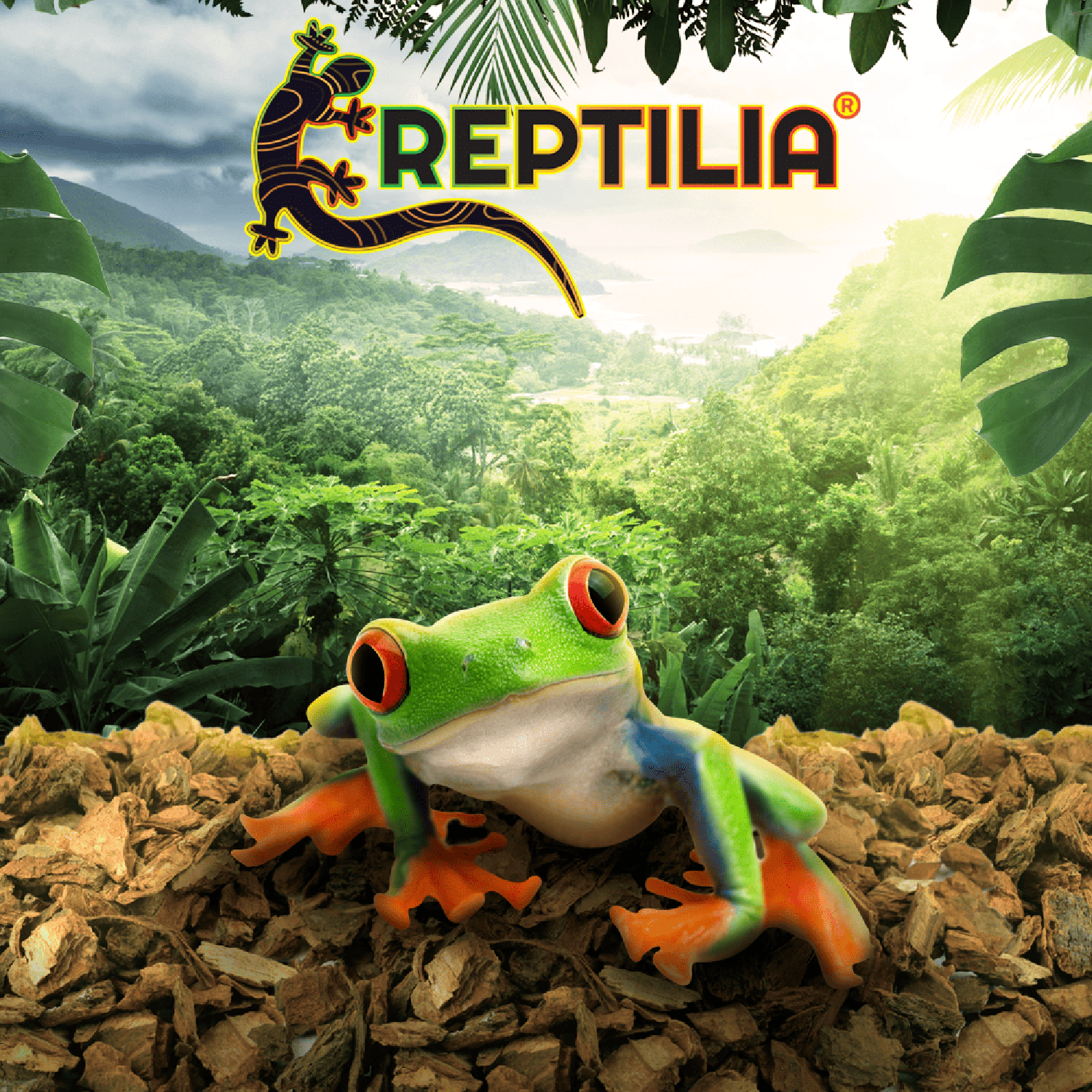 Reptilia Sustrato Corteza De Pino 1.3 Kg reptiles y anfibios | G.Valkyria - imagen 3