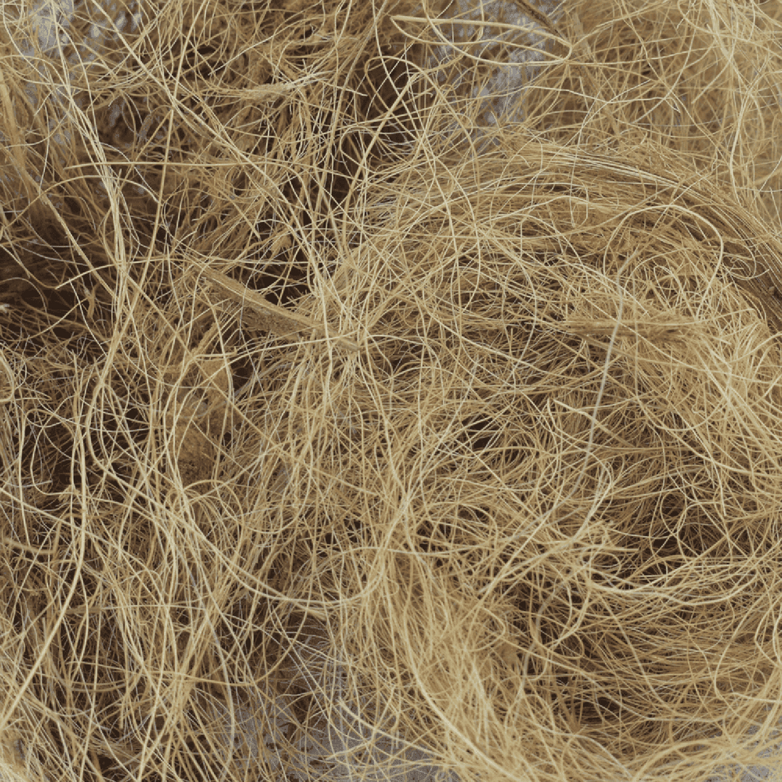 Reptilia Sustrato De Coco 100% Fibra reptiles y anfibios 8L | G.Valkyria - imagen 1