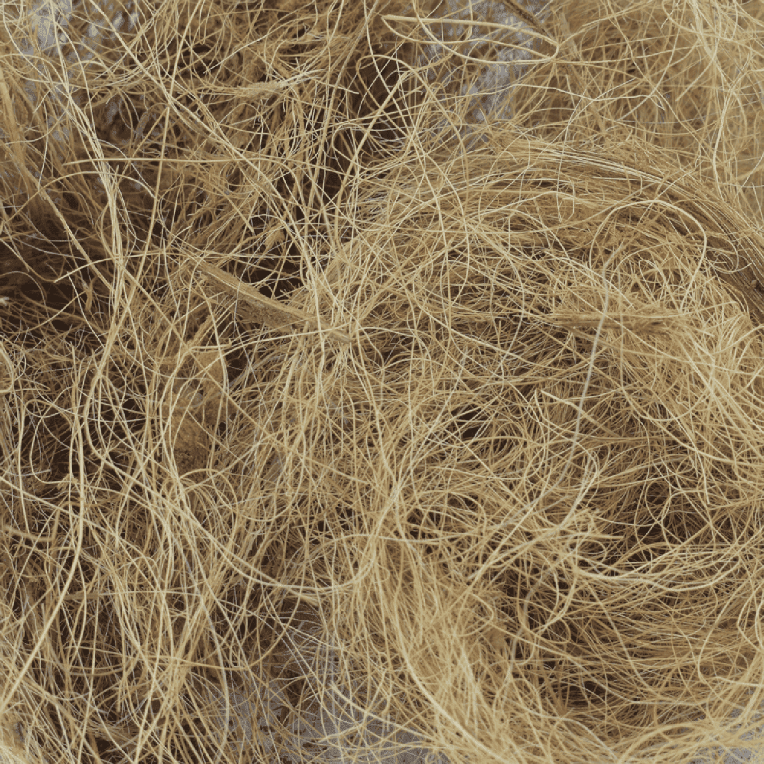 Reptilia Sustrato De Coco 100% Fibra reptiles y anfibios 8L | G.Valkyria - imagen 2