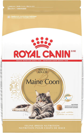 Royal Canin Alimento Breed Health para Gato Maine Coon 6.36kg | G.Valkyria - imagen 1