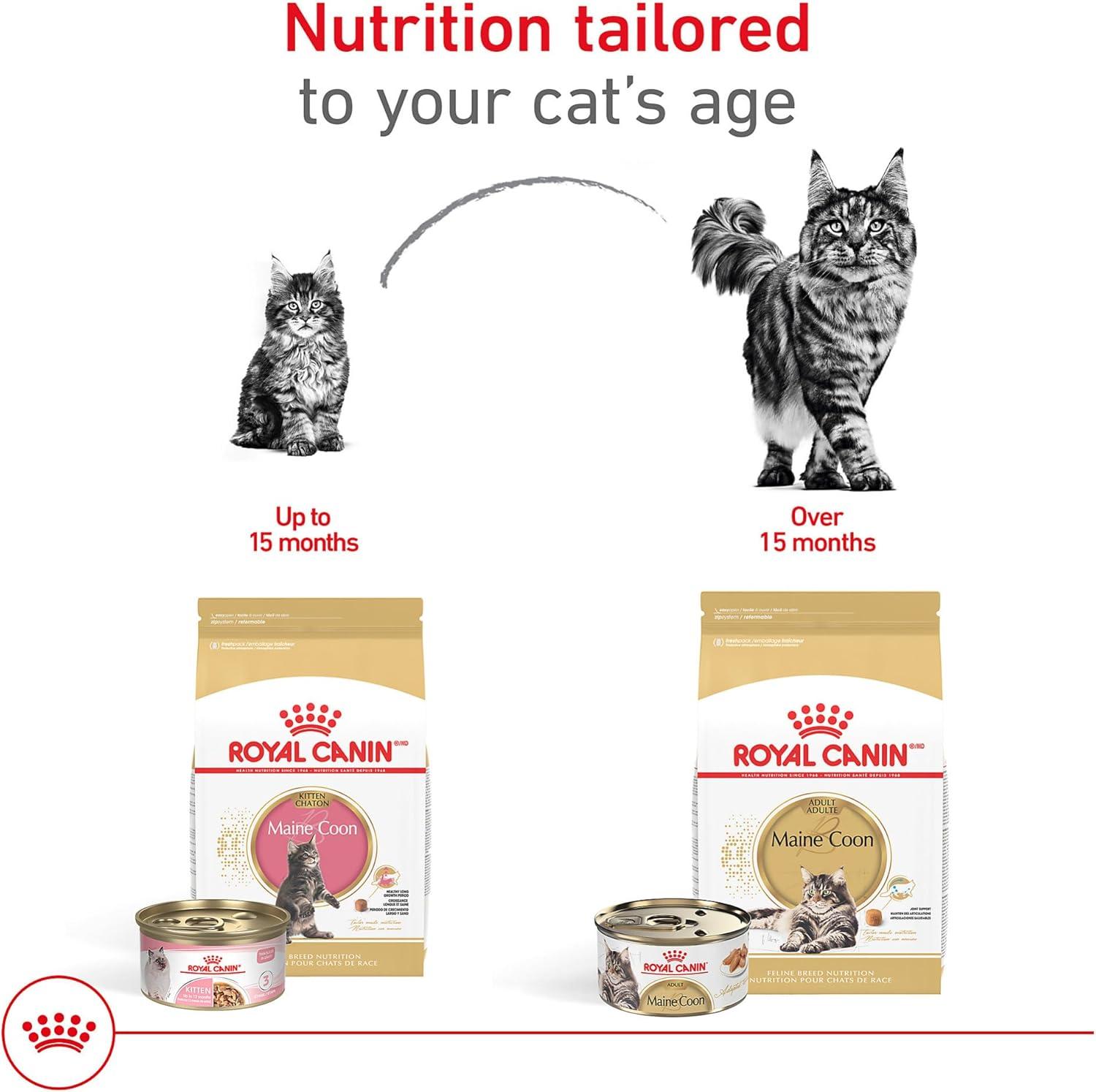 Royal Canin Alimento Breed Health para Gato Maine Coon 6.36kg | G.Valkyria - imagen 3
