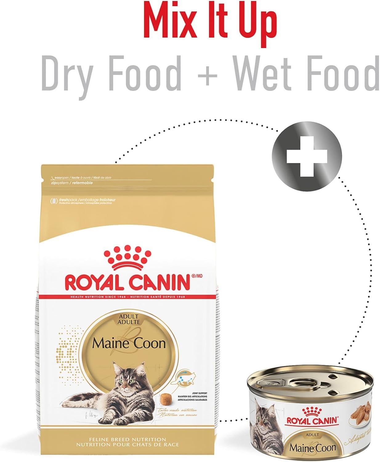 Royal Canin Alimento Breed Health para Gato Maine Coon 6.36kg | G.Valkyria - imagen 4