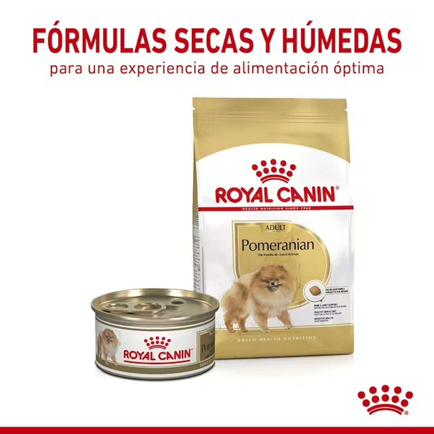 Royal Canin Alimento Breed Health Pomeranian Adult 1.1kg | G.Valkyria - imagen 5