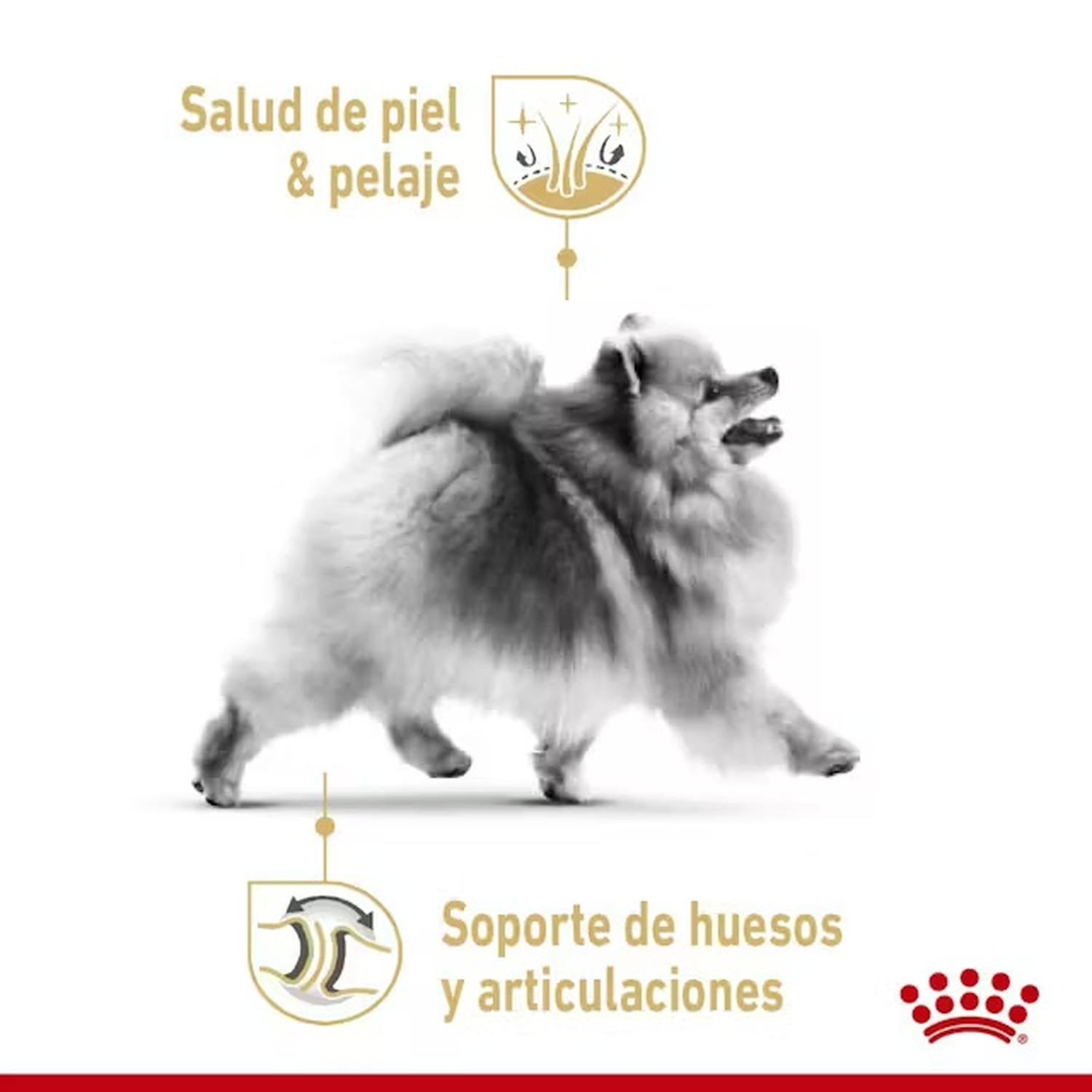 Royal Canin Alimento Breed Health Pomeranian Adult 1.1kg | G.Valkyria - imagen 6