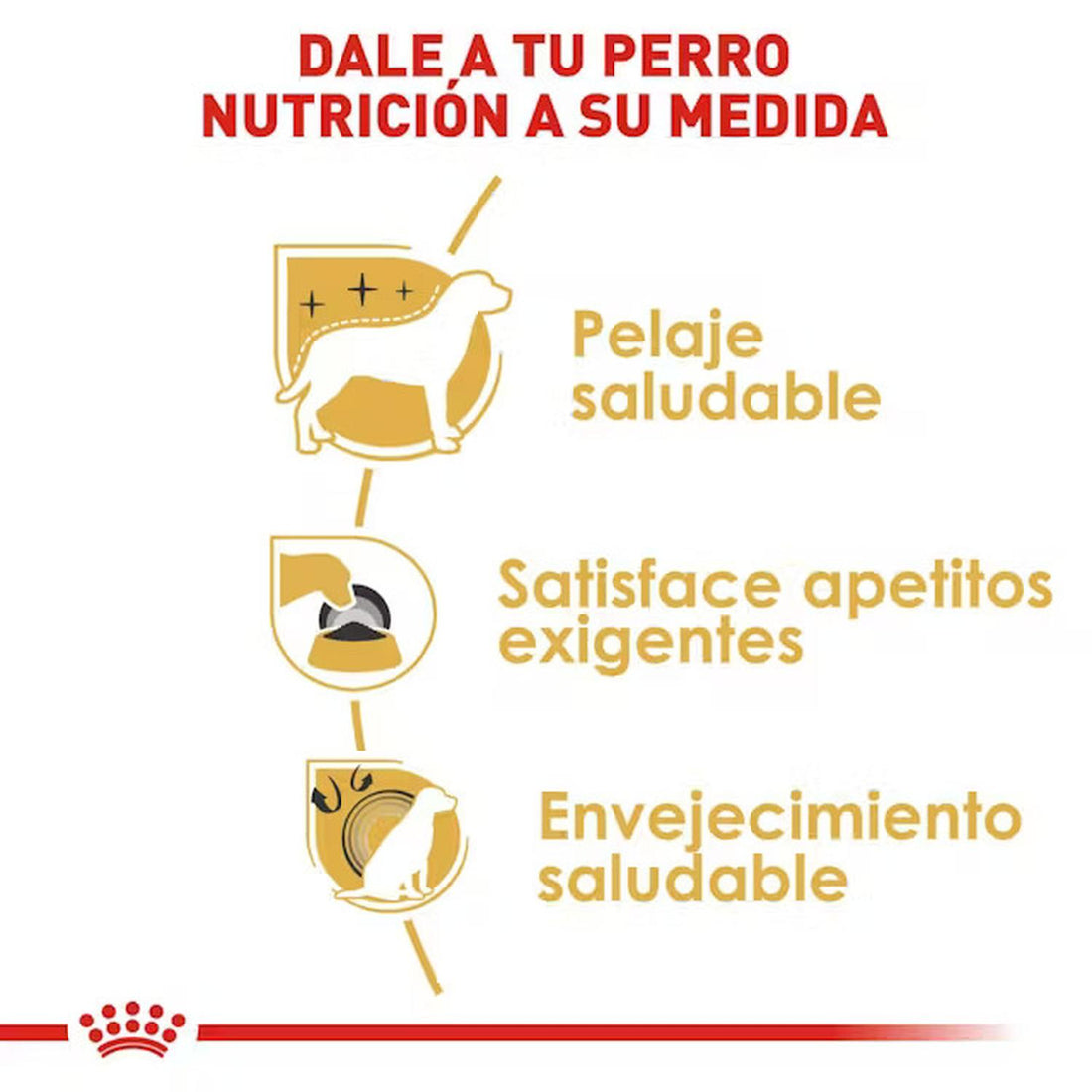 Royal Canin Alimento Breed Health Yorkshire Adult 4.5kg | G.Valkyria - imagen 1