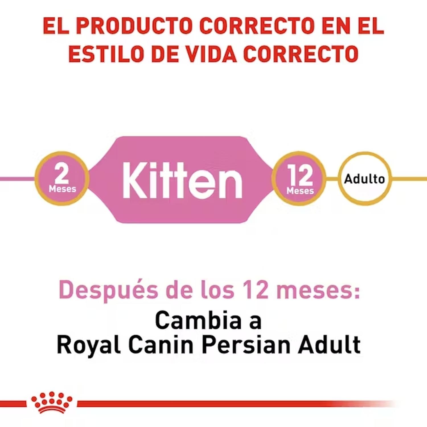 Royal Canin Alimento Gato Breed Health Persian Kitten 1.3kg | G.Valkyria - imagen 3