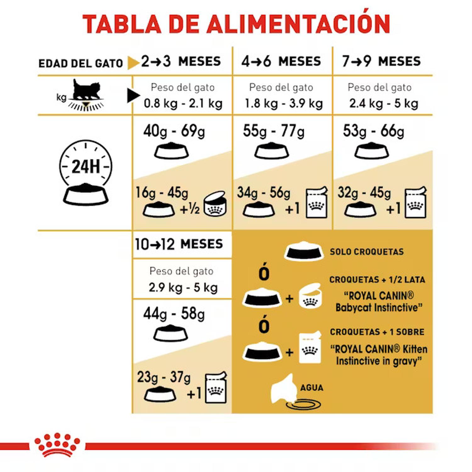 Royal Canin Alimento Gato Breed Health Persian Kitten 1.3kg | G.Valkyria - imagen 5