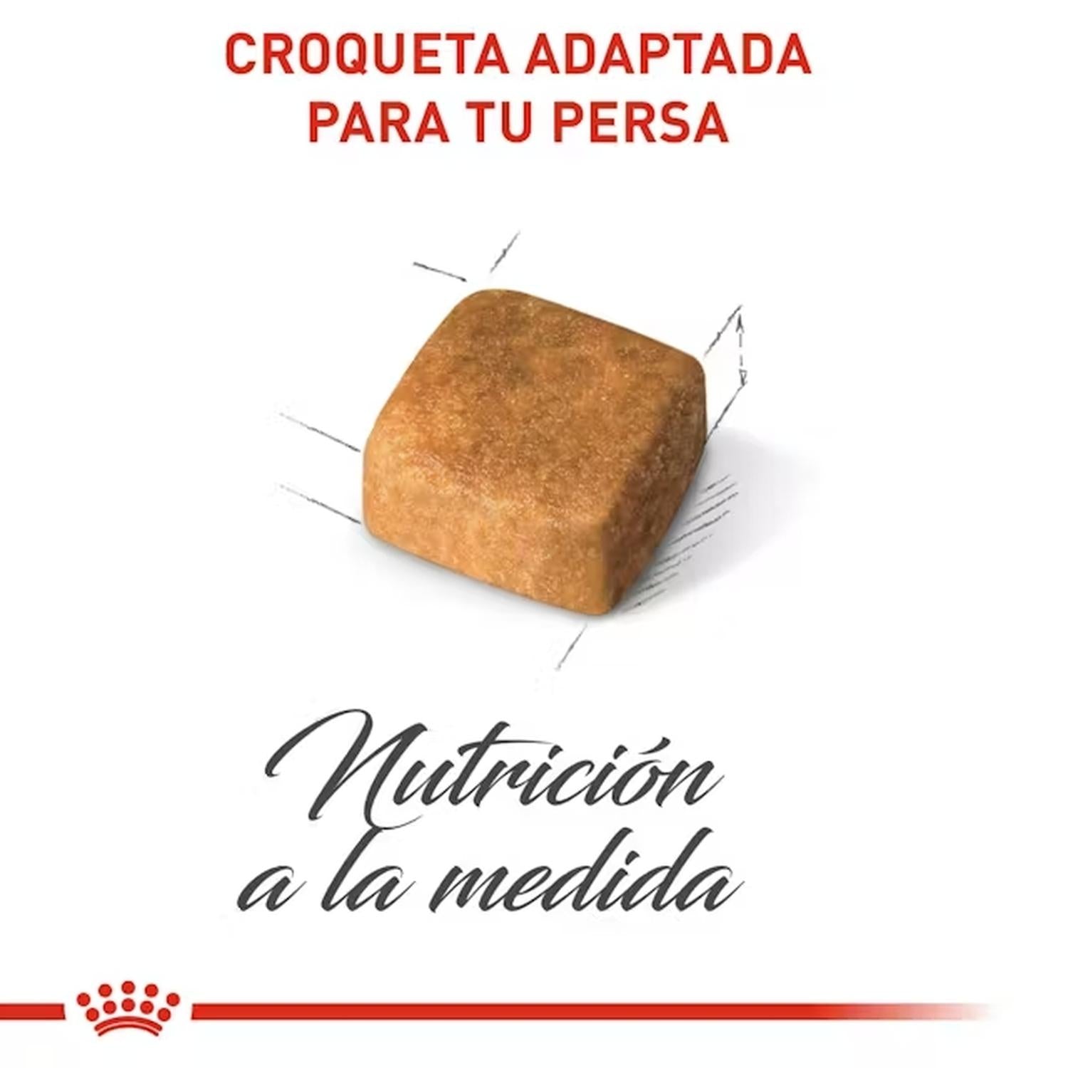 Royal Canin Alimento Gato Breed Health Persian Kitten 1.3kg | G.Valkyria - imagen 6
