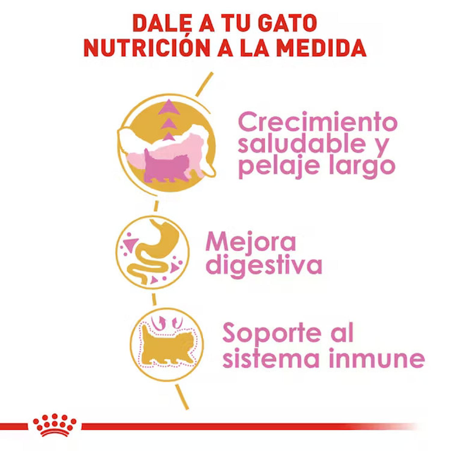 Royal Canin Alimento Gato Breed Health Persian Kitten 1.3kg | G.Valkyria - imagen 7