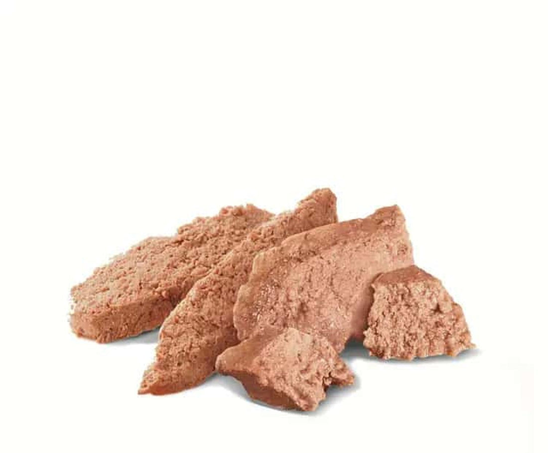 Royal Canin Alimento Gato Breed Persian Loaf in Sauce 12 pz | G.Valkyria - imagen 1