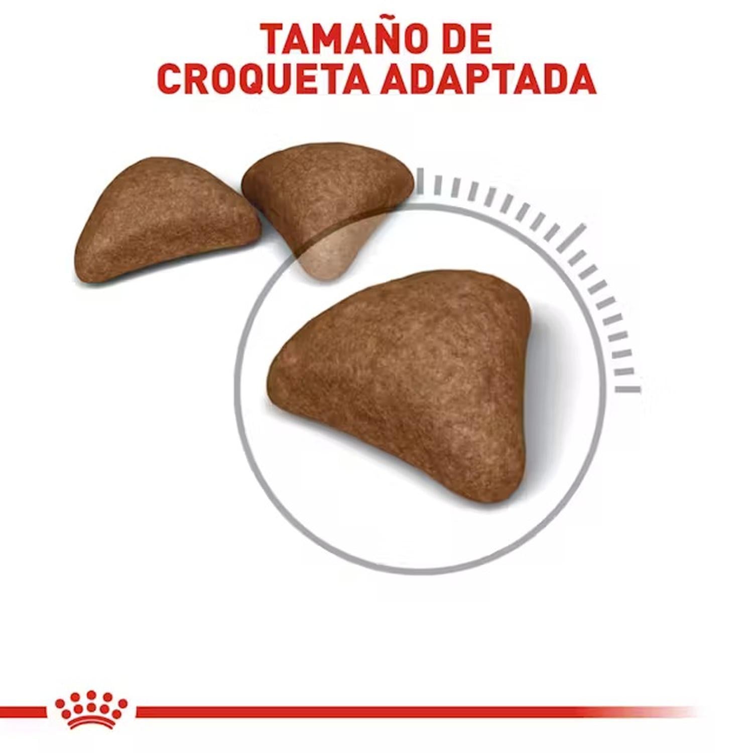 Royal Canin Alimento Gato Sensitive Hairball Care 2.73kg | G.Valkyria - imagen 6