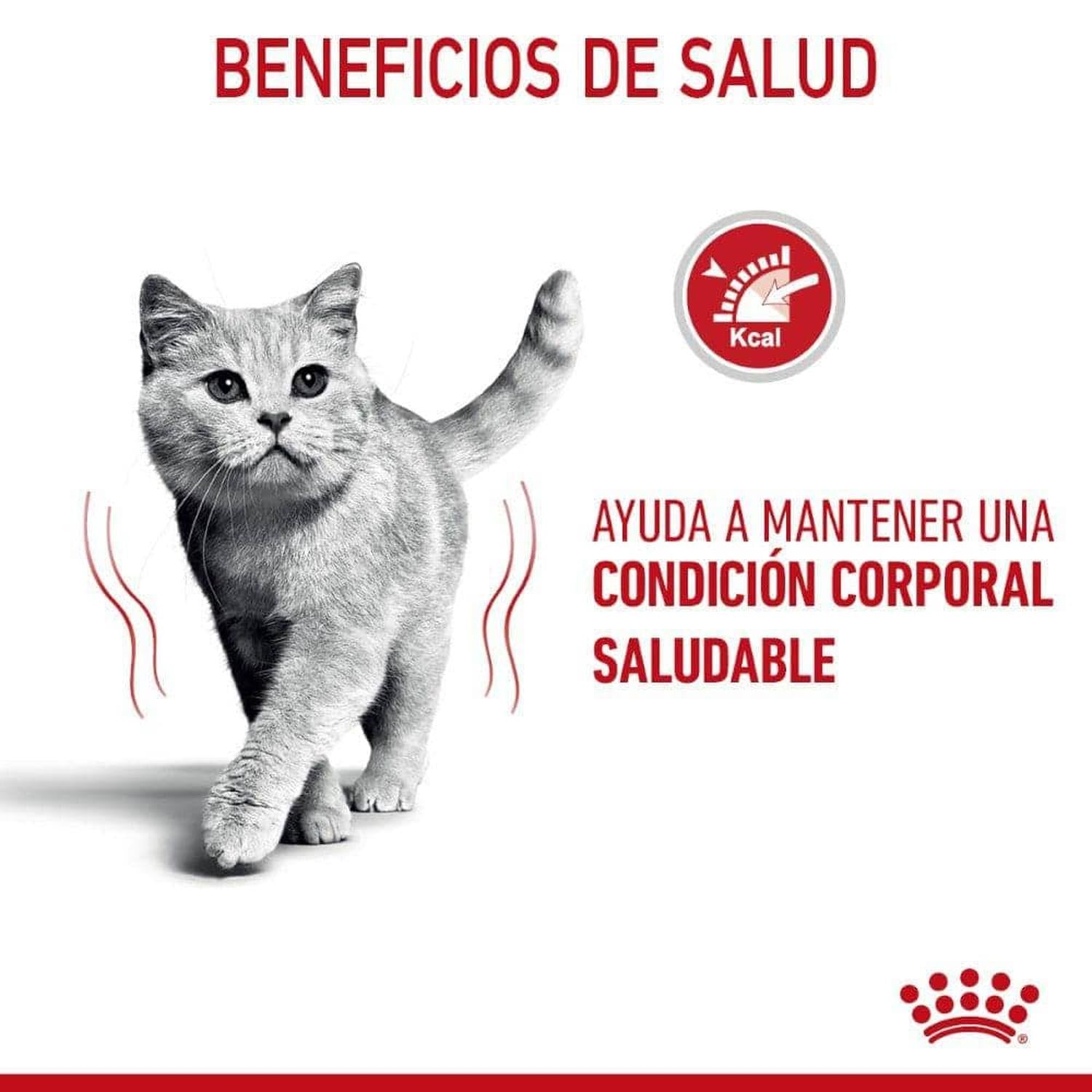 Royal Canin Alimento Gato Weight Care Slices in Gravy 145g | G.Valkyria - imagen 3