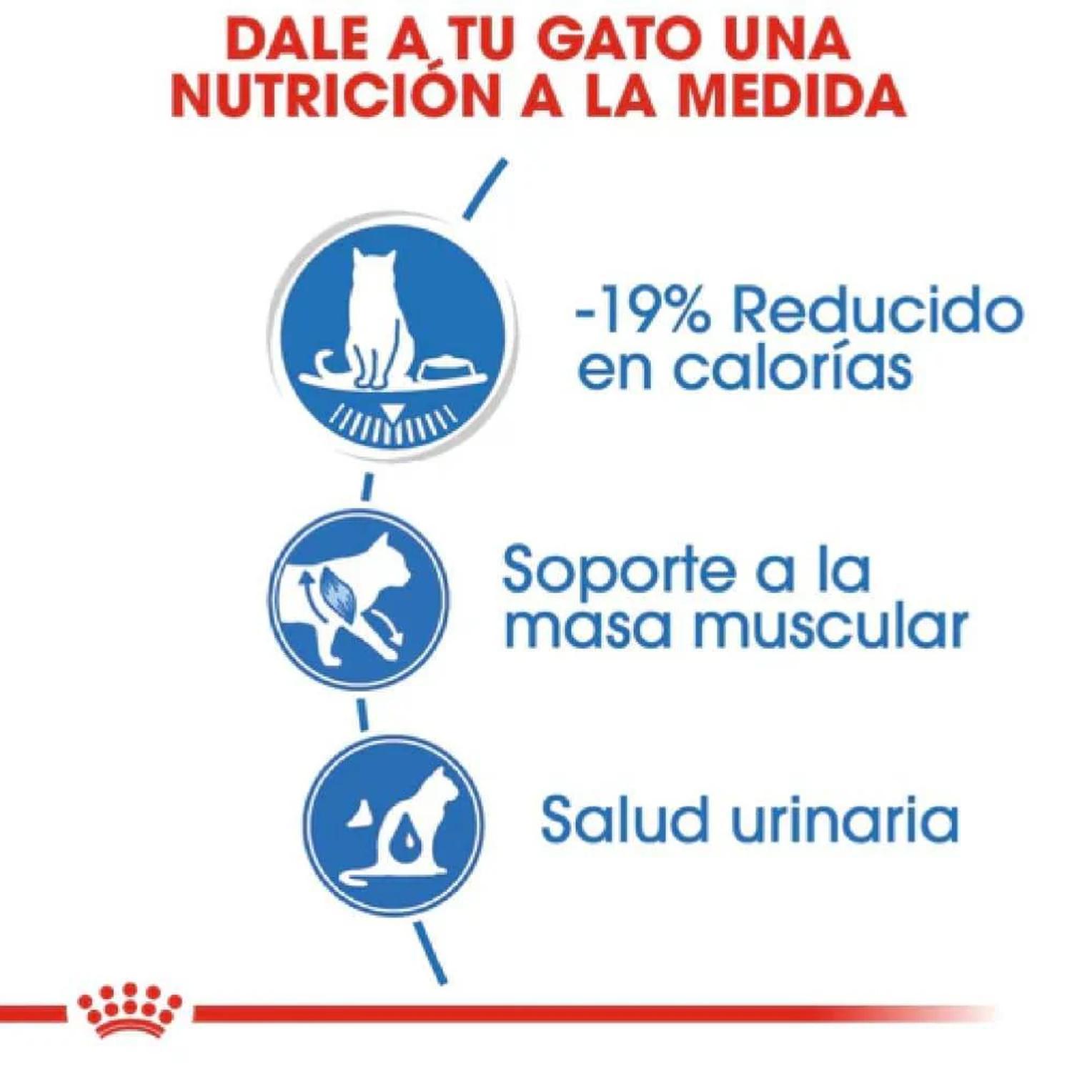 Royal Canin Alimento húmedo gato Weight Care Loaf 145g 24pza | G.Valkyria - imagen 3
