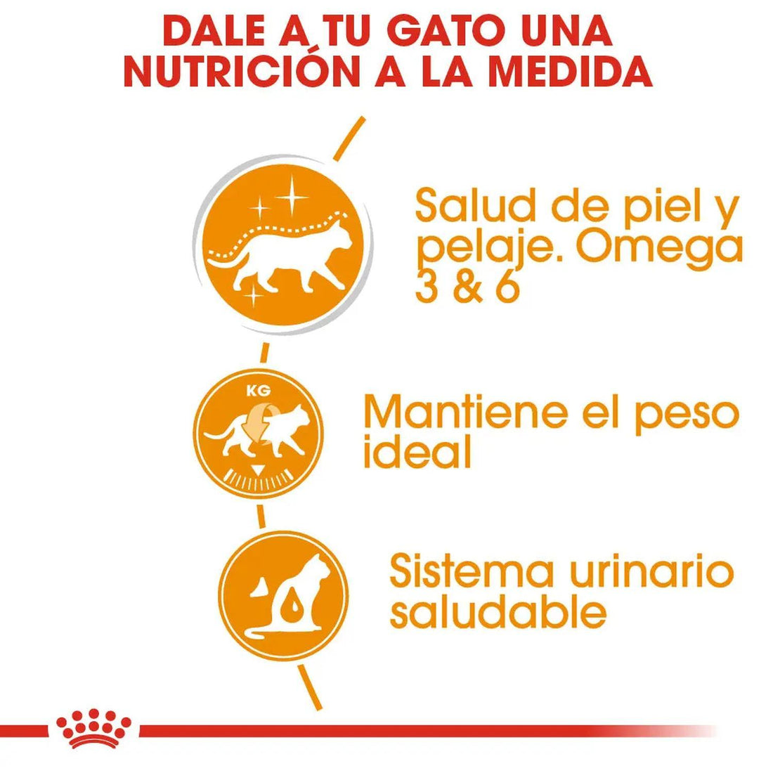 Royal Canin Alimento húmedo para gato care hair&skin 24 pzas | G.Valkyria - imagen 1