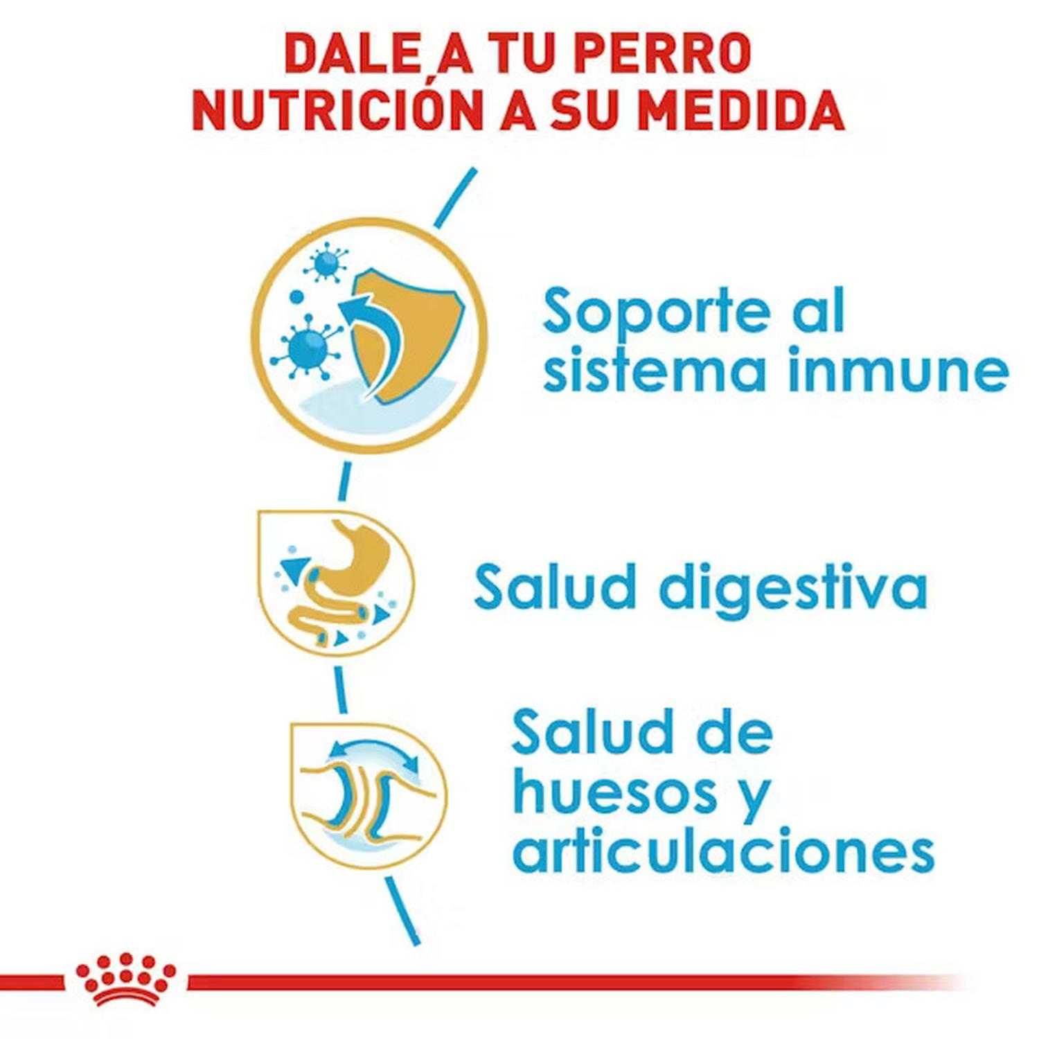 Royal Canin Alimento Perro Breed Health Bulldog Puppy 2.73kg | G.Valkyria - imagen 4