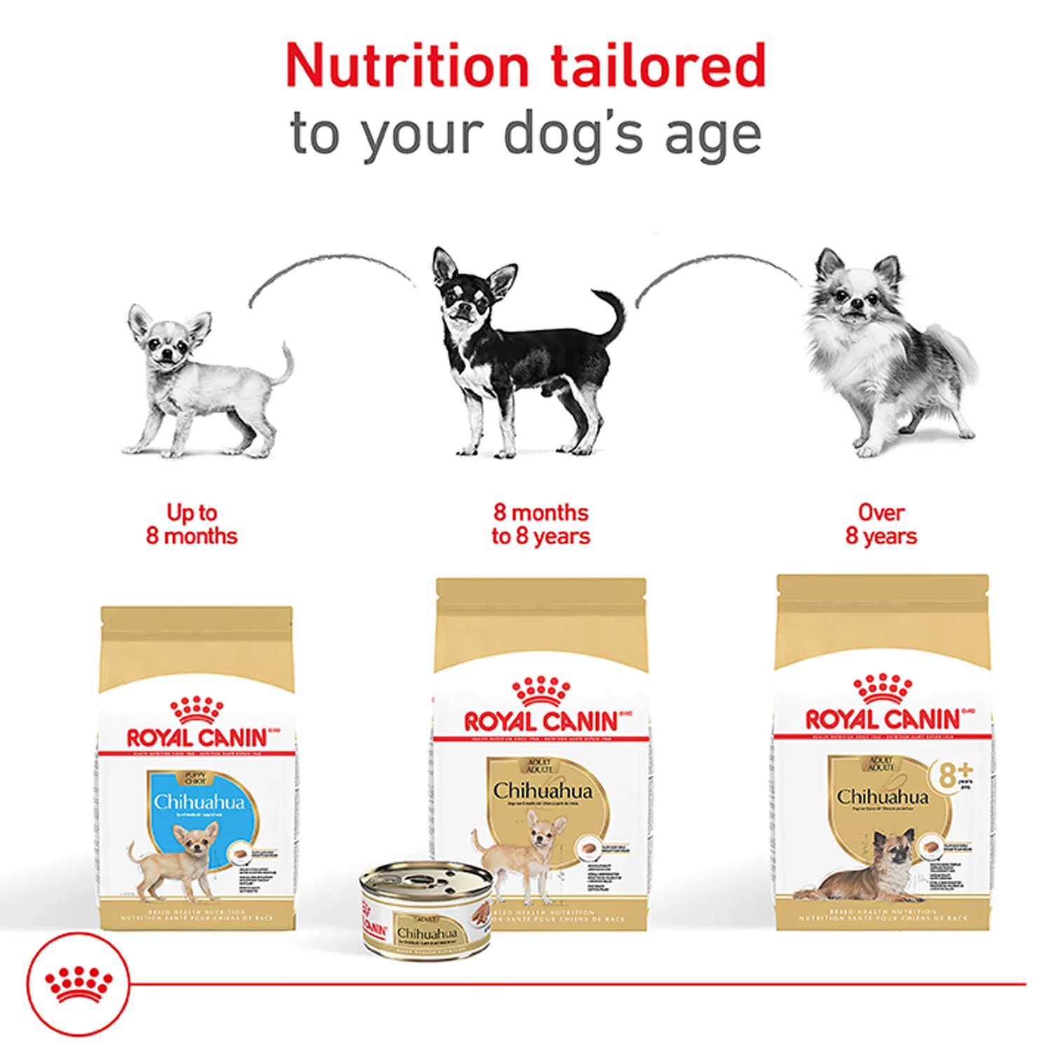 Royal Canin Alimento perro Chihuahua Aging Senior Adult 8+ 1.1kg | G.Valkyria - imagen 3