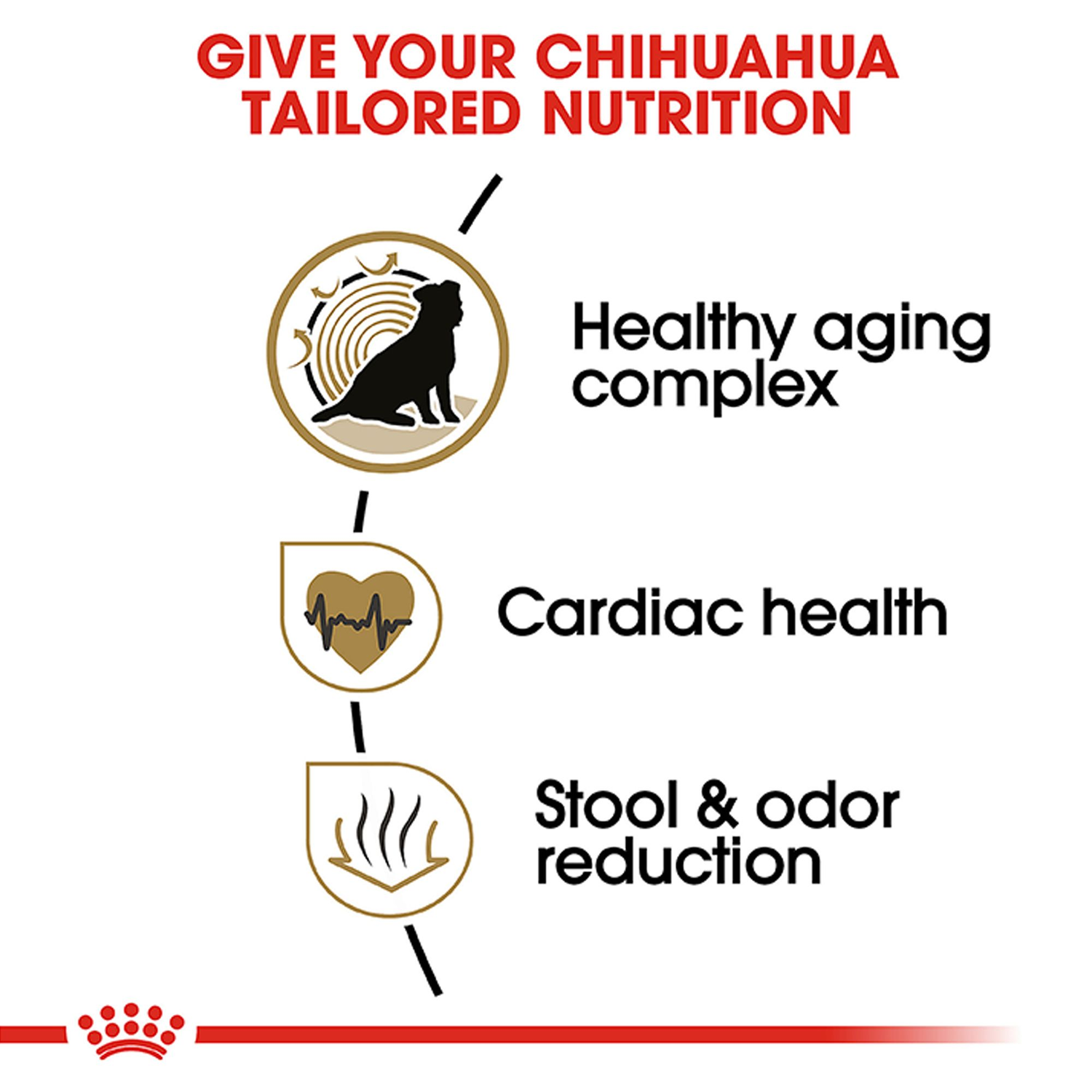 Royal Canin Alimento perro Chihuahua Aging Senior Adult 8+ 1.1kg | G.Valkyria - imagen 4