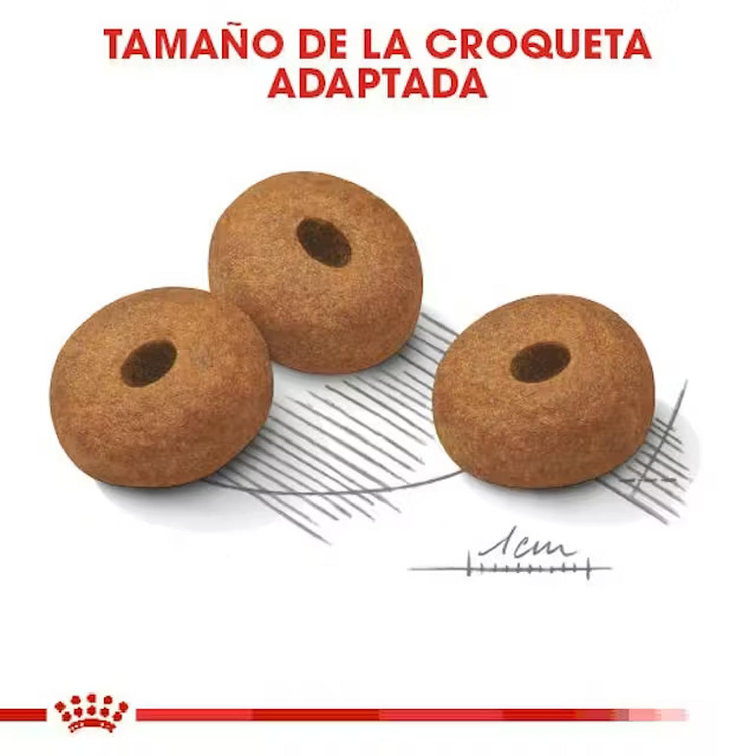 Royal Canin Alimento Perro Sensitive Large Weight Care 13.61kg | G.Valkyria - imagen 6