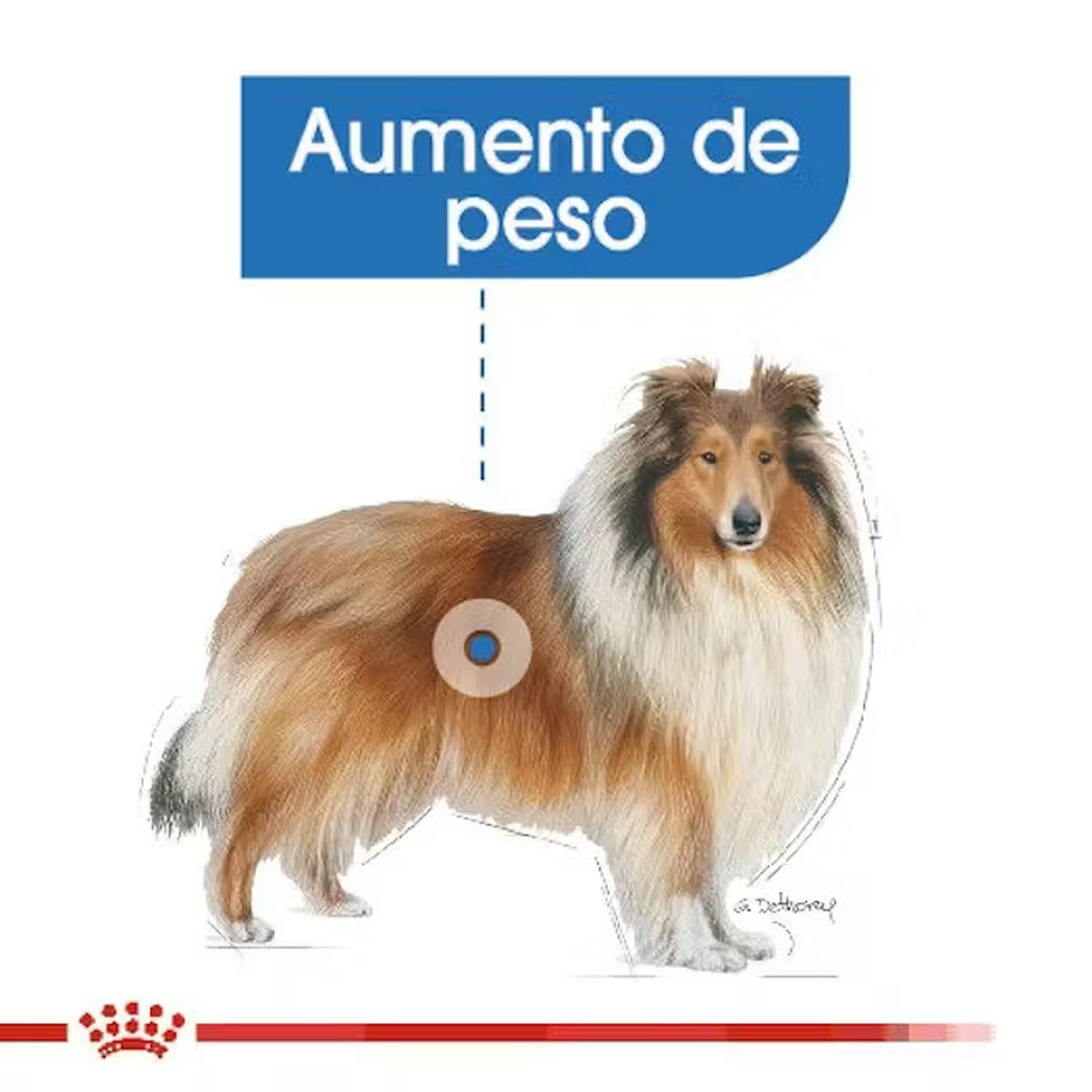 Royal Canin Alimento Perro Sensitive Large Weight Care 13.61kg | G.Valkyria - imagen 8