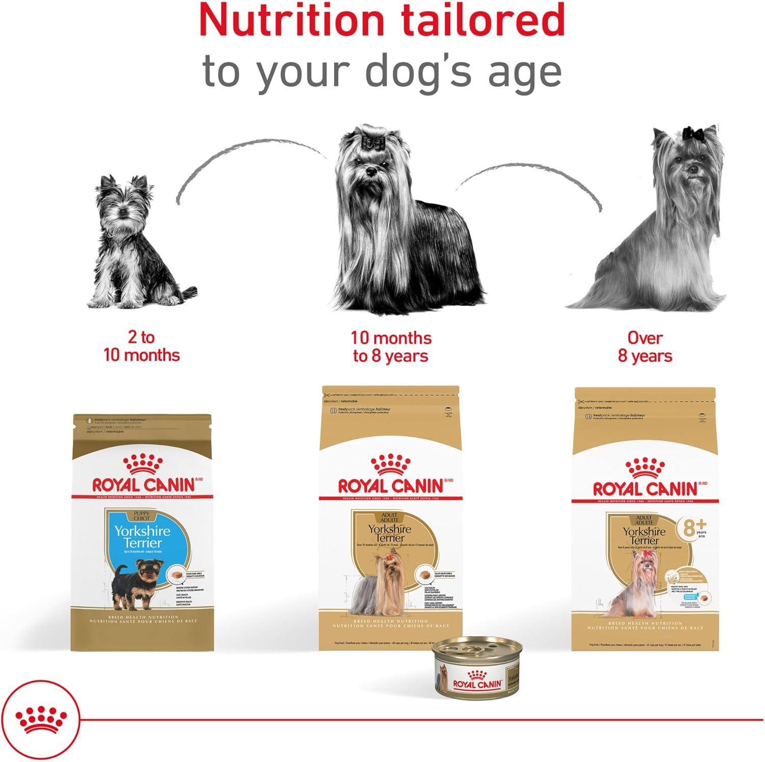 Royal Canin Alimento perro Yorkshire Aging Senior Adult 8+ 1.1kg | G.Valkyria - imagen 3