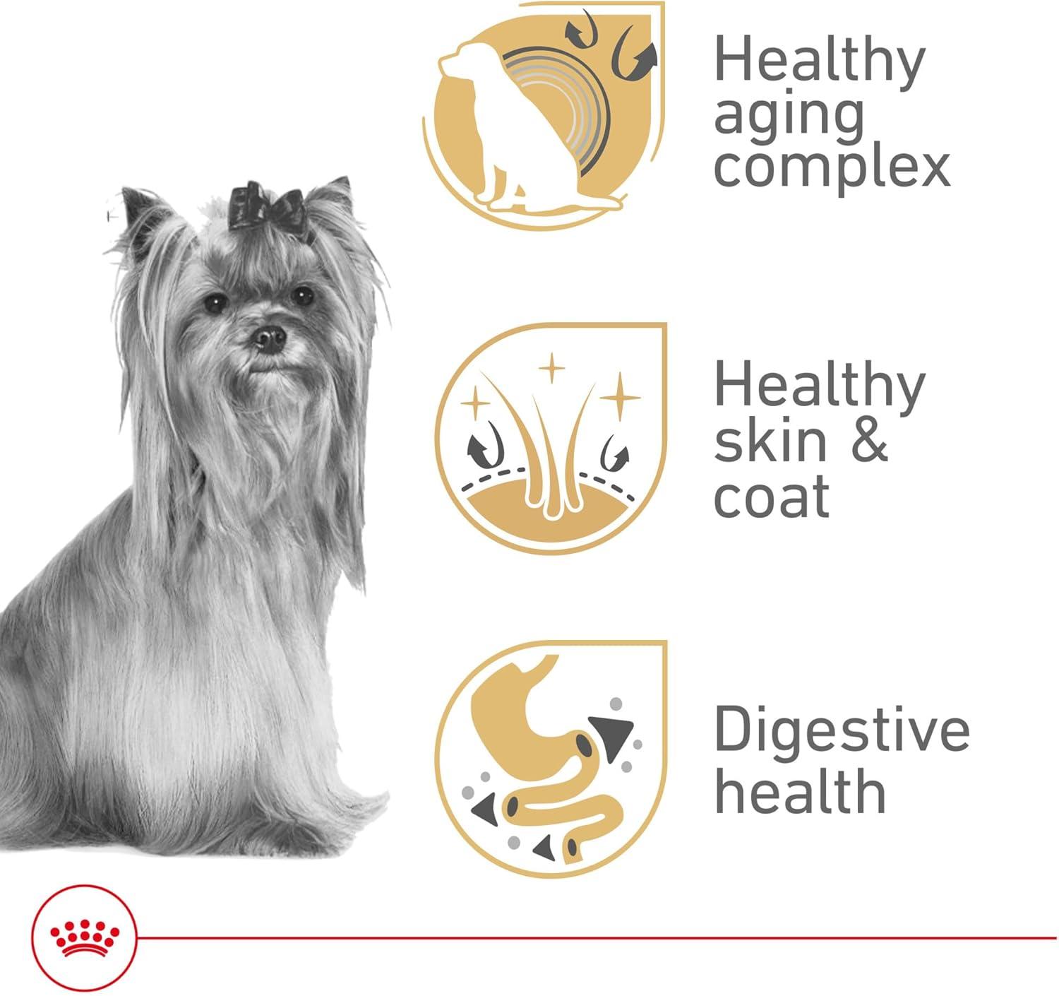 Royal Canin Alimento perro Yorkshire Aging Senior Adult 8+ 1.1kg | G.Valkyria - imagen 4