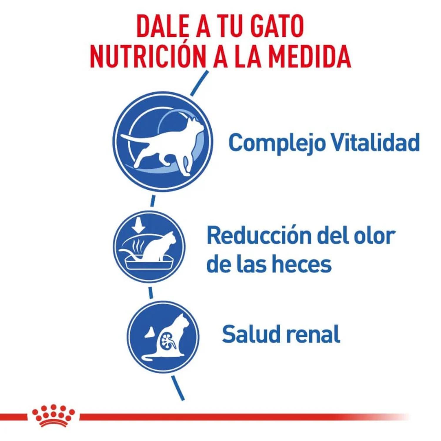 Royal Canin alimento seco Indoor 7+ Aging Adult Gato 2.49kg | G.Valkyria - imagen 2
