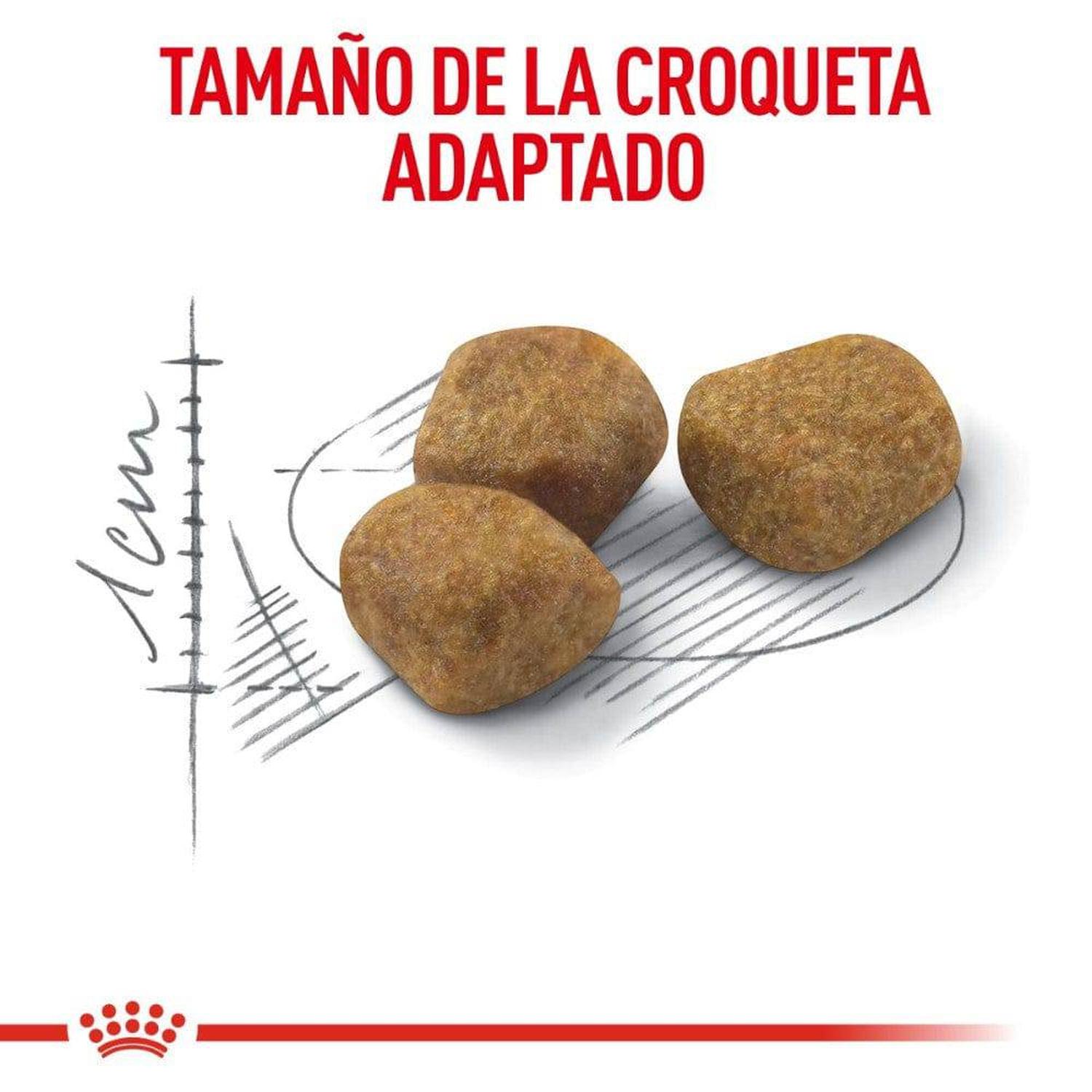 Royal Canin alimento seco Indoor 7+ Aging Adult Gato 2.49kg | G.Valkyria - imagen 6