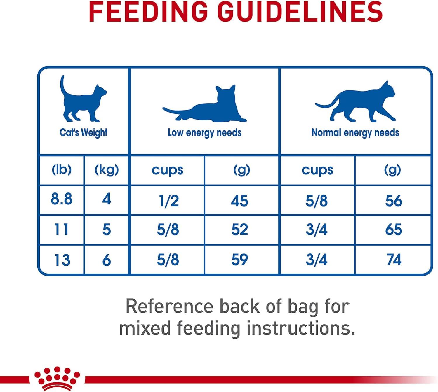 Royal Canin alimento seco Indoor Adult Gato 3.1kg | G.Valkyria - imagen 6