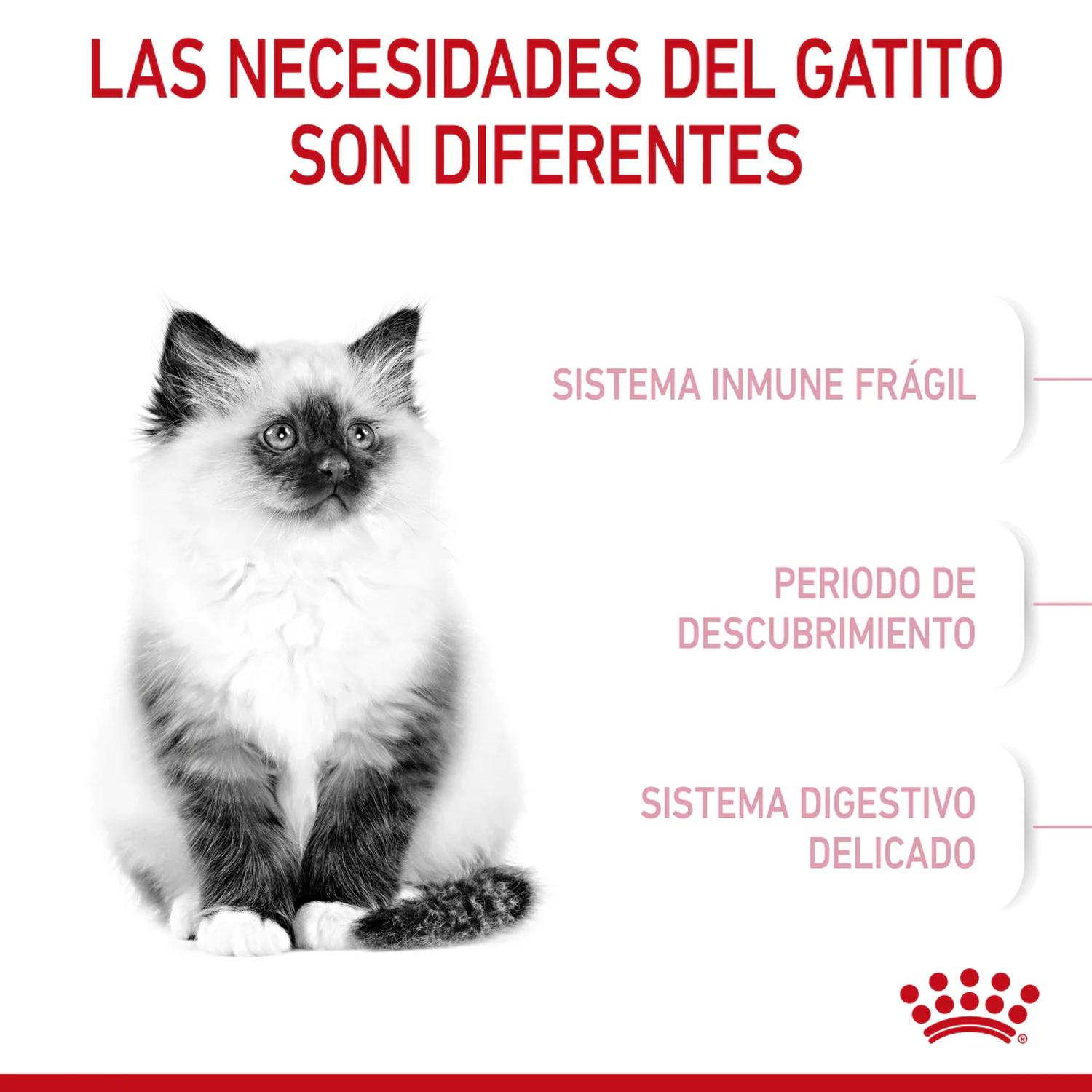 Royal Canin alimento seco Kitten Gatito 1.37kg | G.Valkyria - imagen 3