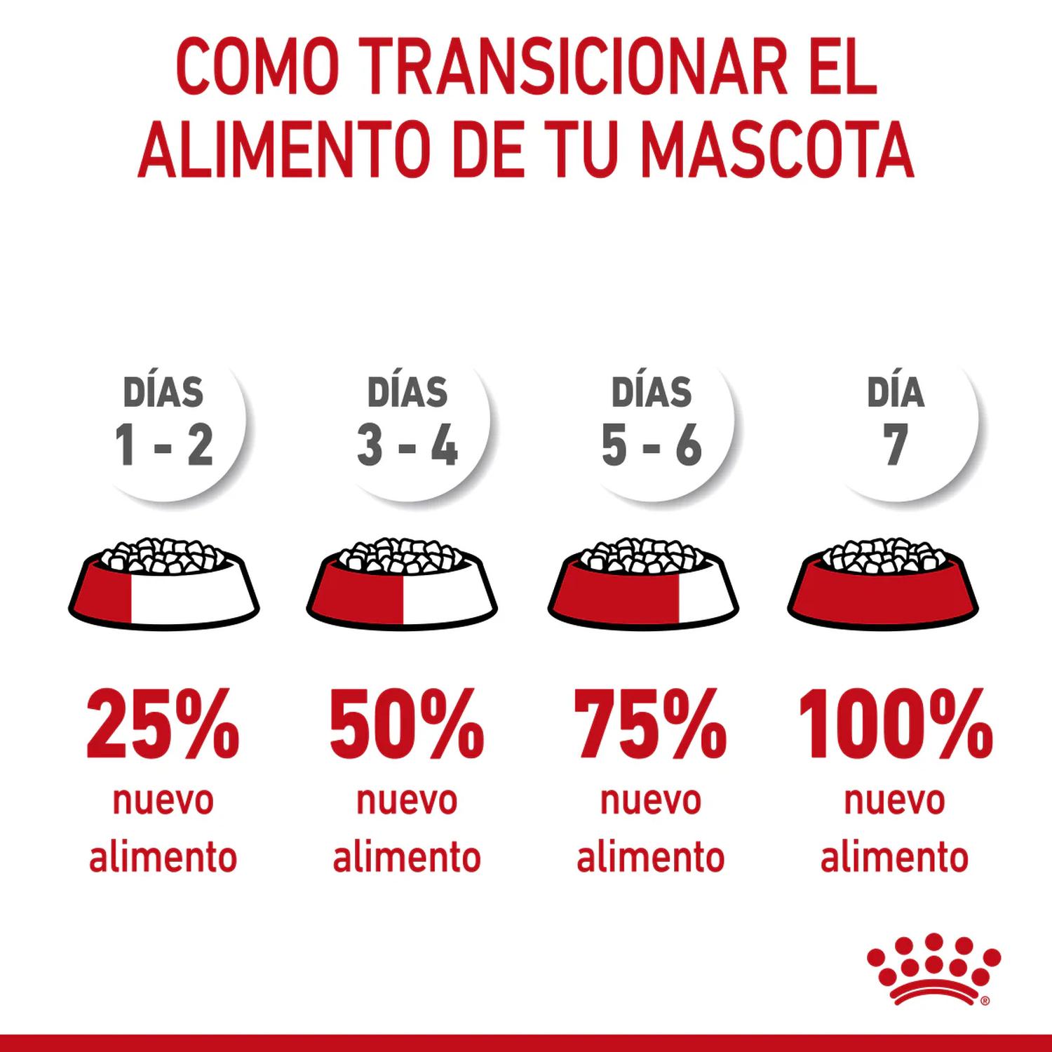 Royal Canin alimento seco Kitten Gatito 1.37kg | G.Valkyria - imagen 5