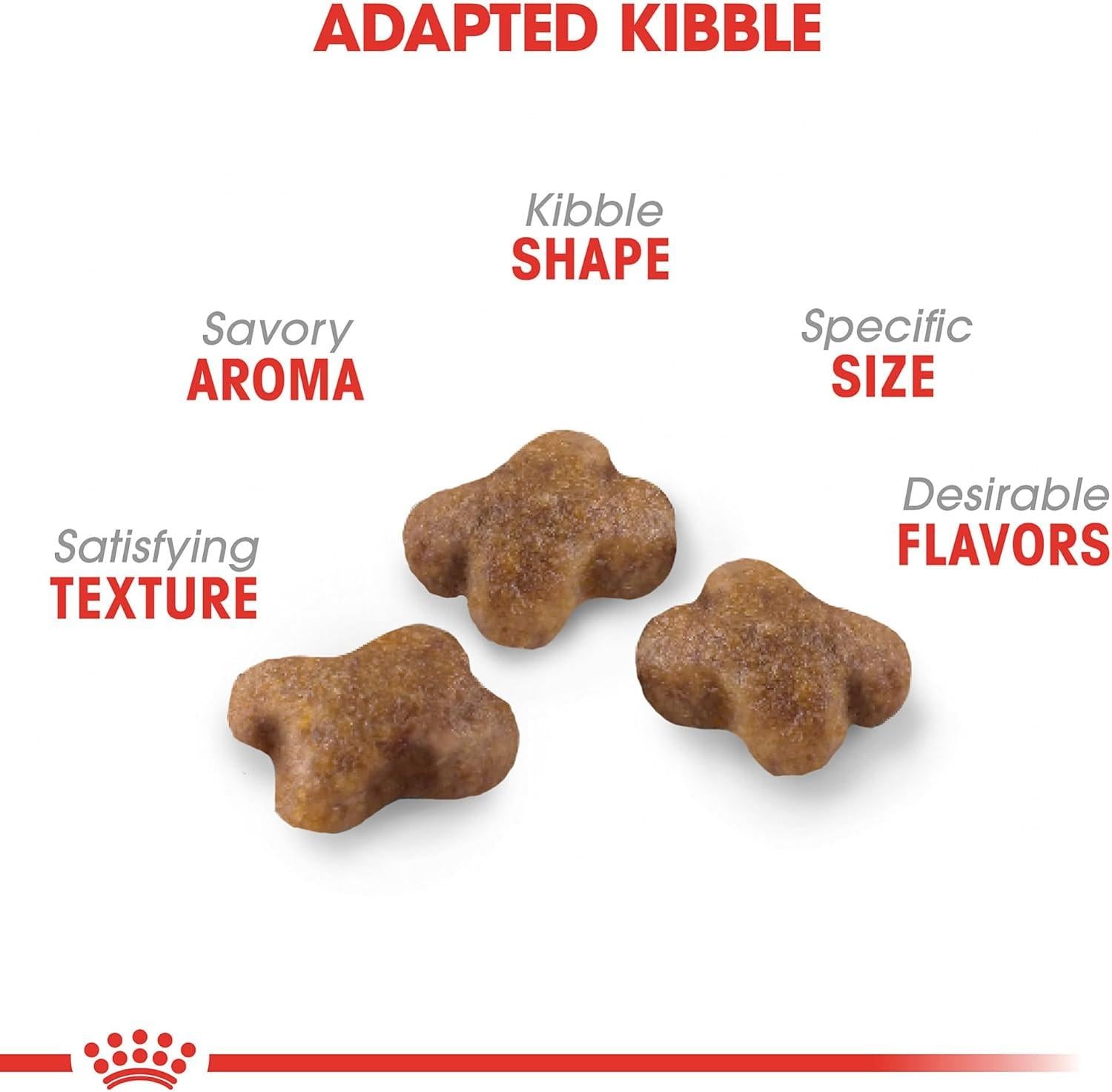 Royal Canin alimento seco Kitten Gatito 3.1kg | G.Valkyria - imagen 3
