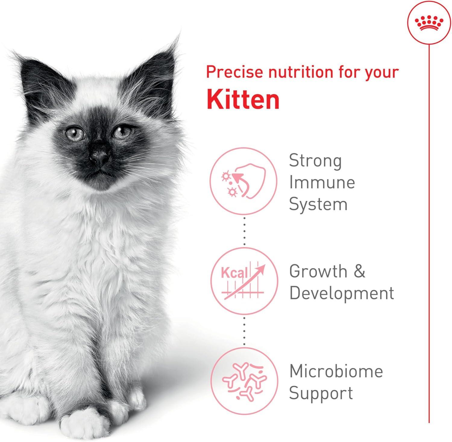 Royal Canin alimento seco Kitten Gatito 3.1kg | G.Valkyria - imagen 4