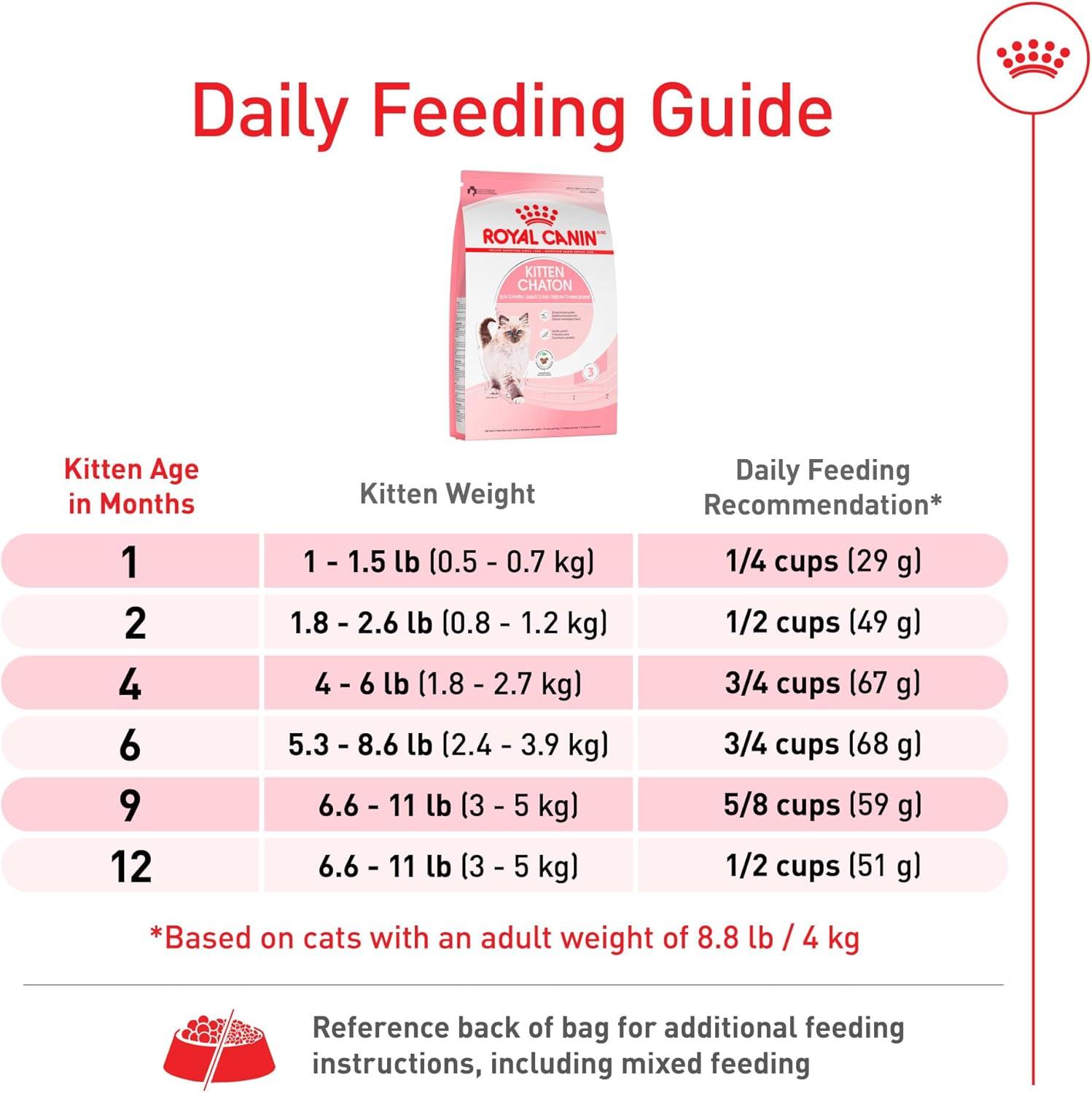 Royal Canin alimento seco Kitten Gatito 3.1kg | G.Valkyria - imagen 6