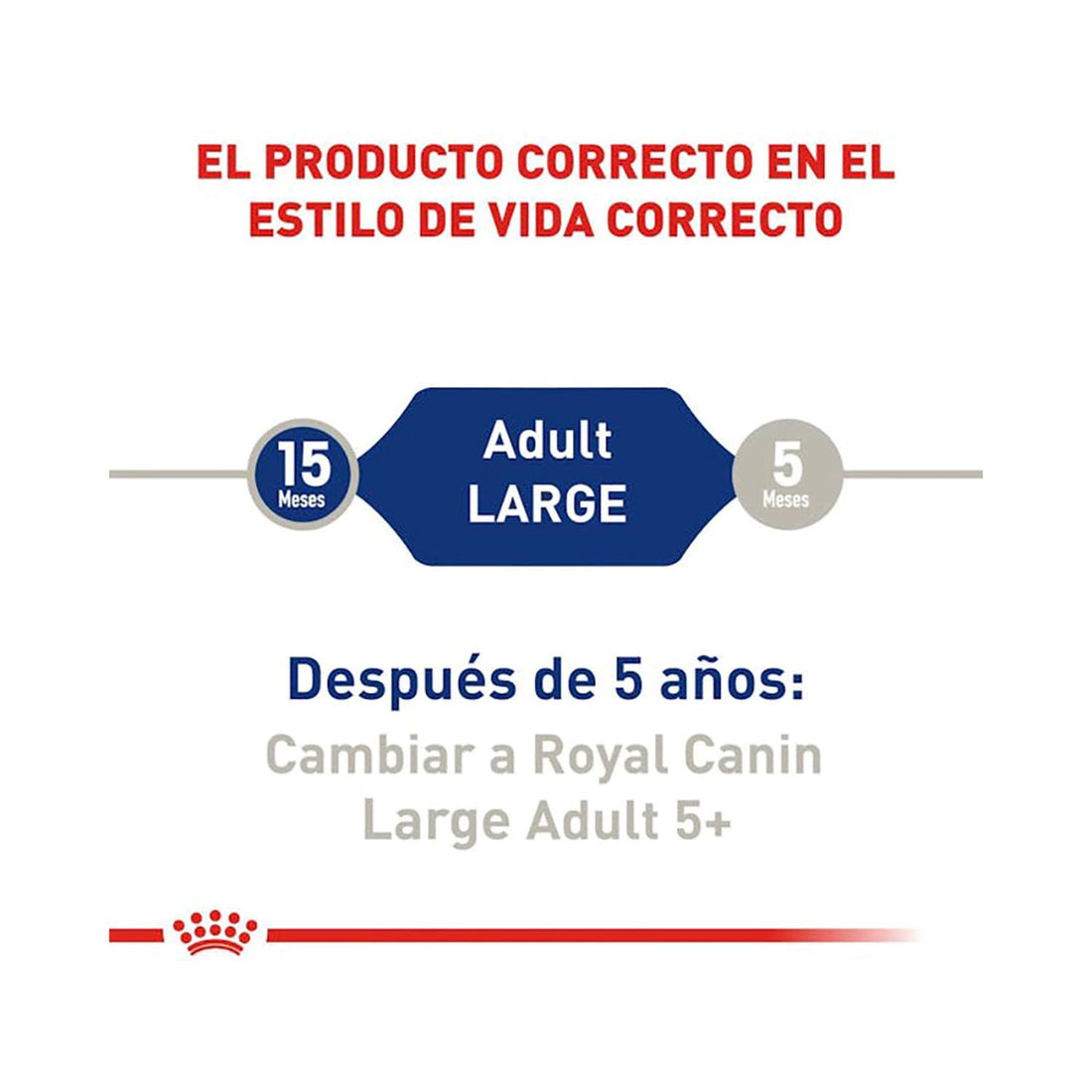Royal Canin alimento seco Large Adult para Perro 7.72kg | G.Valkyria - imagen 1