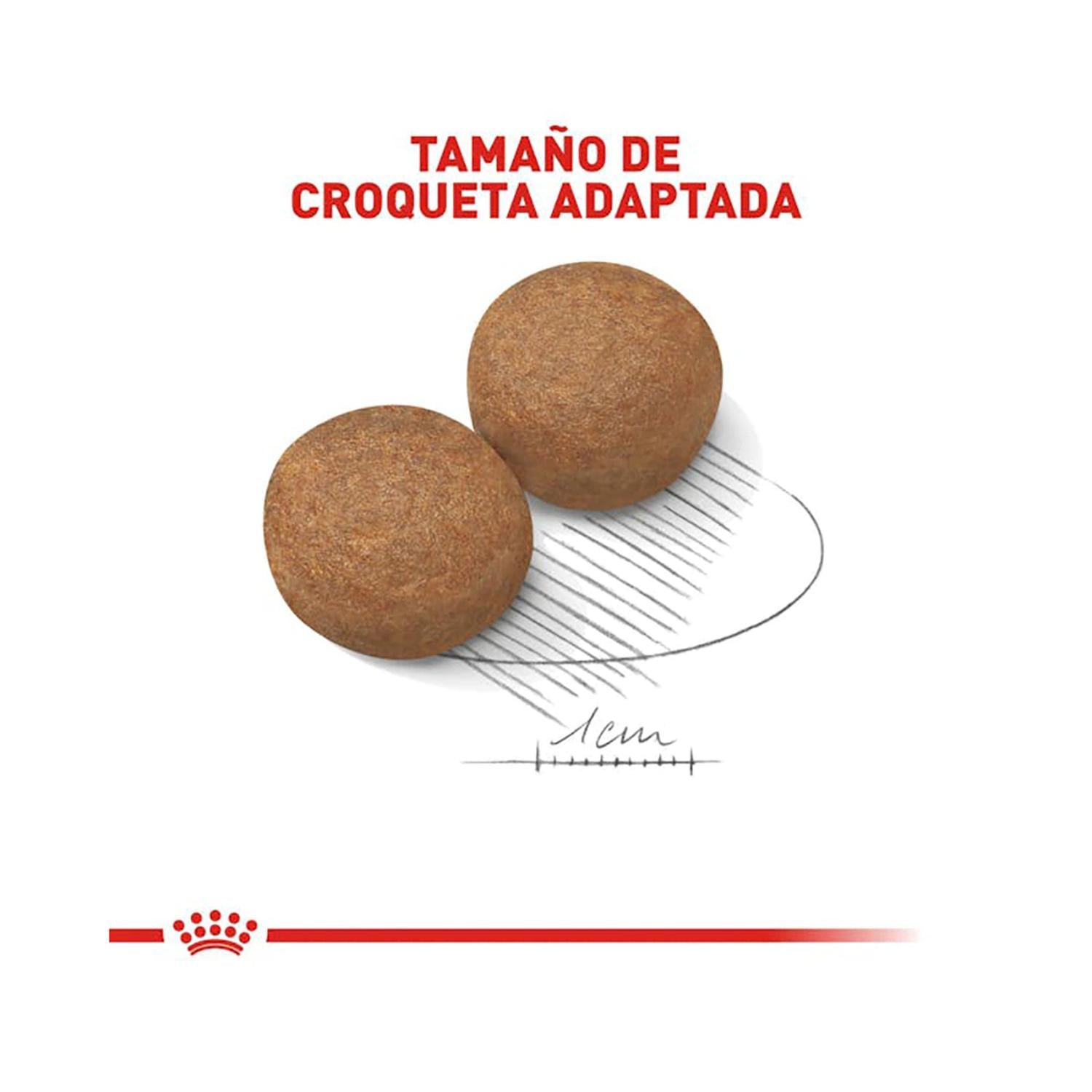 Royal Canin alimento seco Large Adult para Perro 7.72kg | G.Valkyria - imagen 3