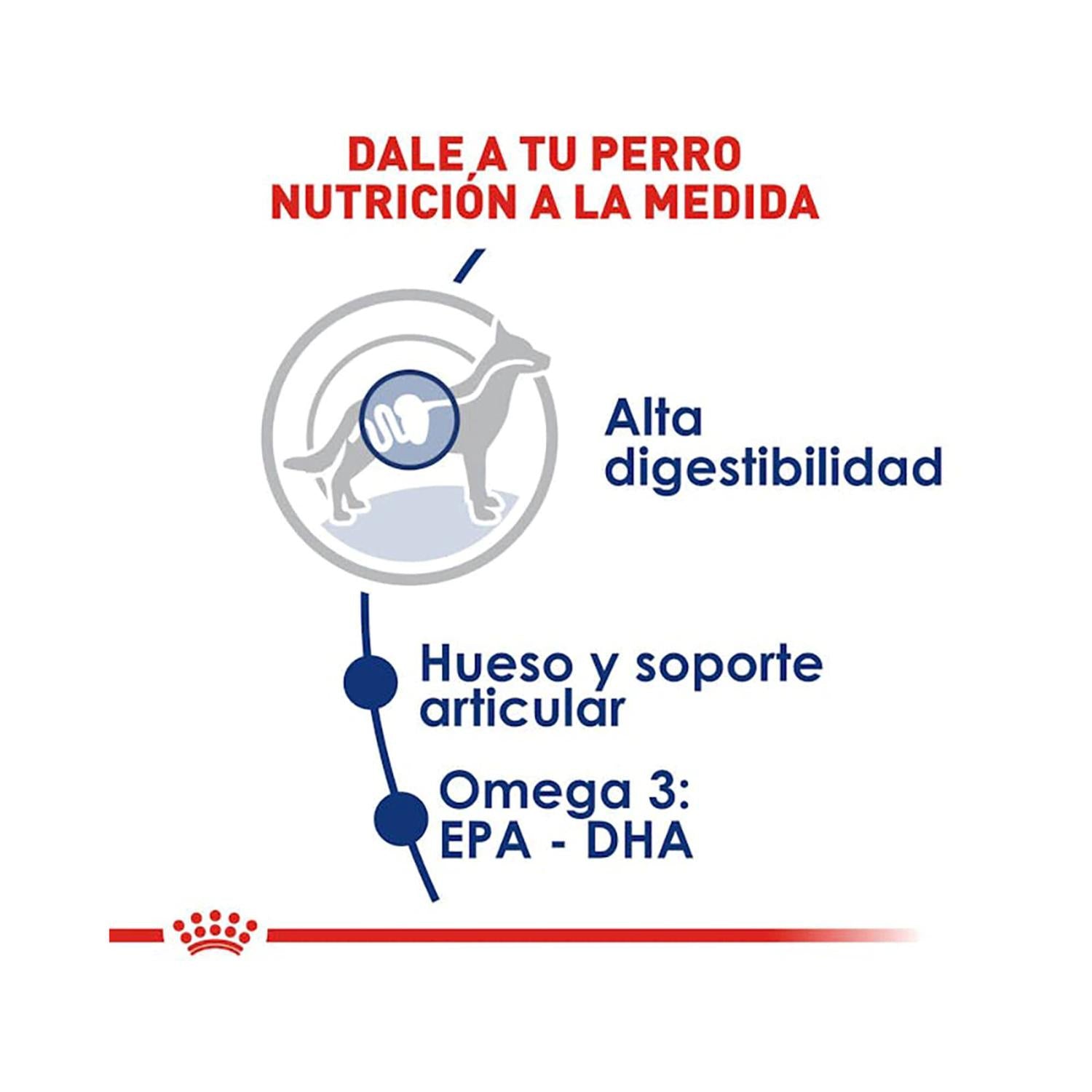 Royal Canin alimento seco Large Adult para Perro 7.72kg | G.Valkyria - imagen 4